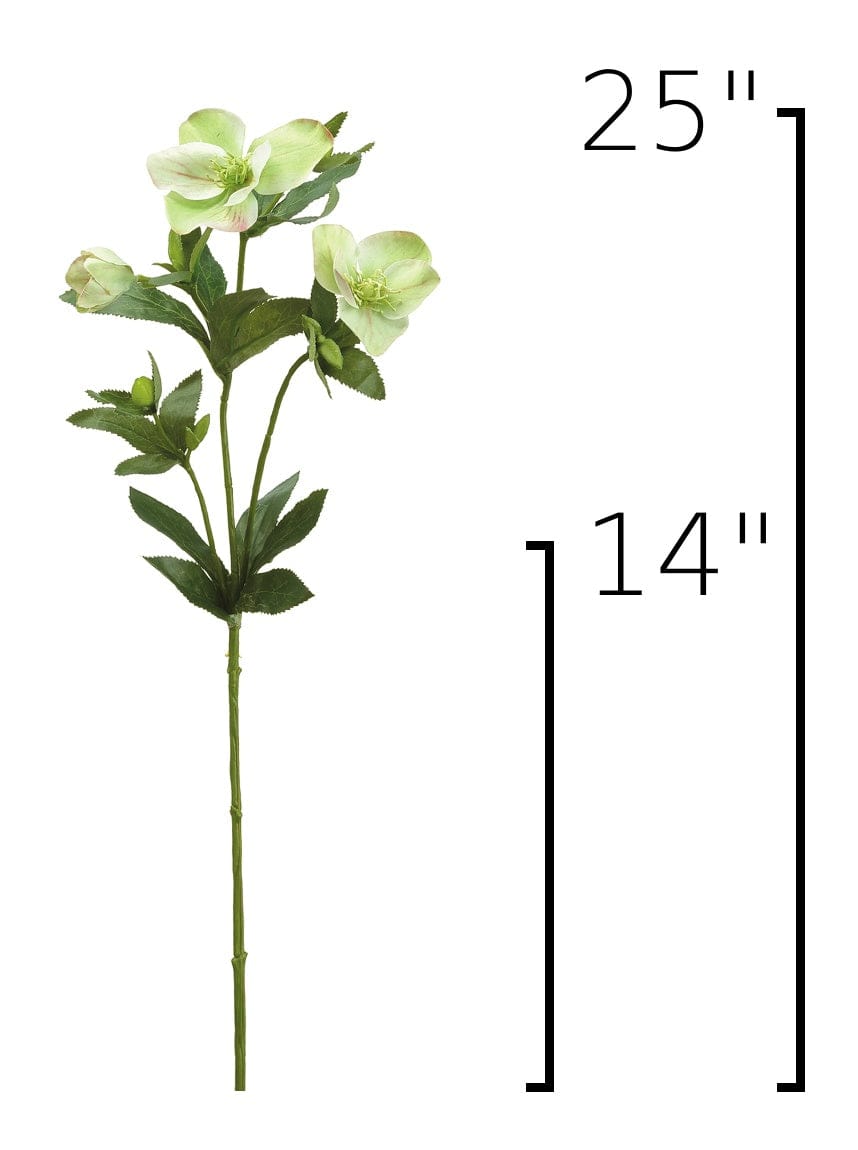 A single artificial hollyhock-style flower stem with pale green blooms and green leaves, shown on a white background with height markers indicating 25 inches total and 14 inches from the top.