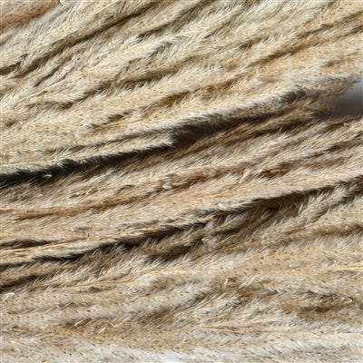 Natural Dried Grass Bundle – Long Everlasting Stems | Preserved Neutral Botanical Bunch for Vase Styling & Home Decor