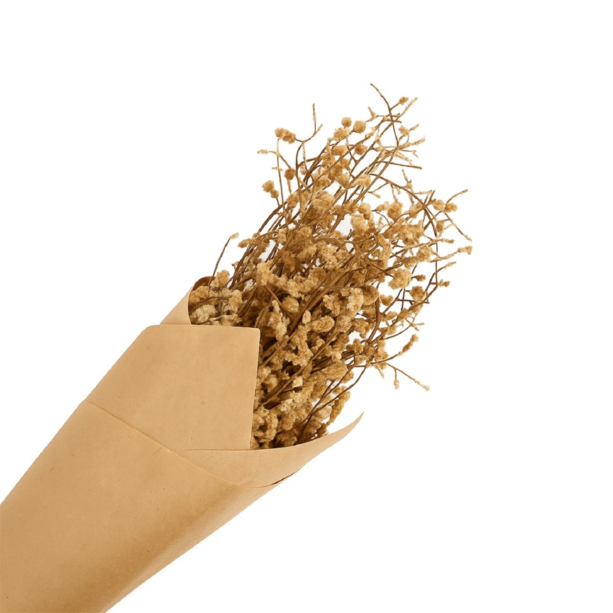 Natural Bui Grass Bundle – Dried Paper-Wrapped Stems | Large Preserved Botanical for Vase Styling & Neutral Home Decor