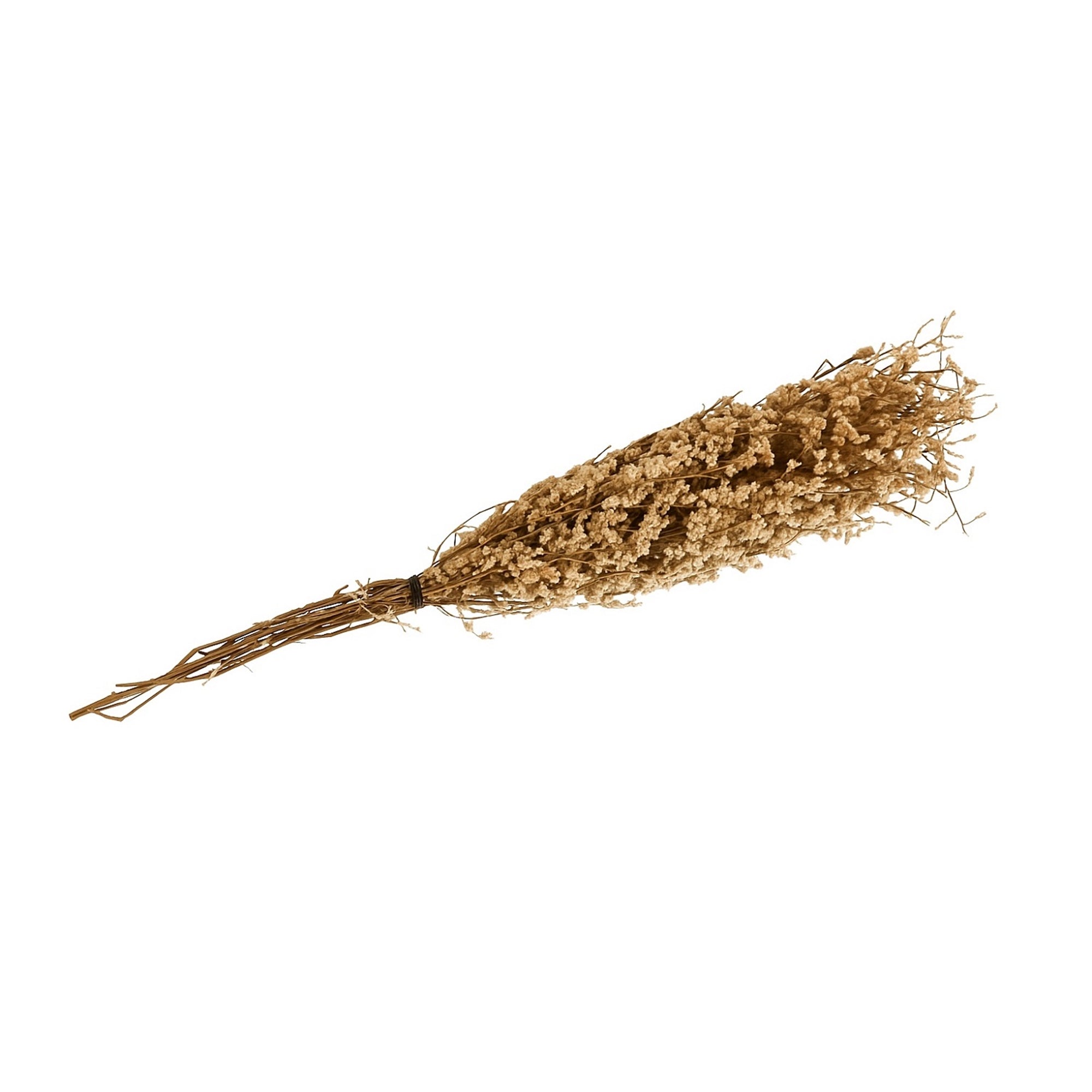 Natural Bui Grass Bundle – Dried Paper-Wrapped Stems | Large Preserved Botanical for Vase Styling & Neutral Home Decor