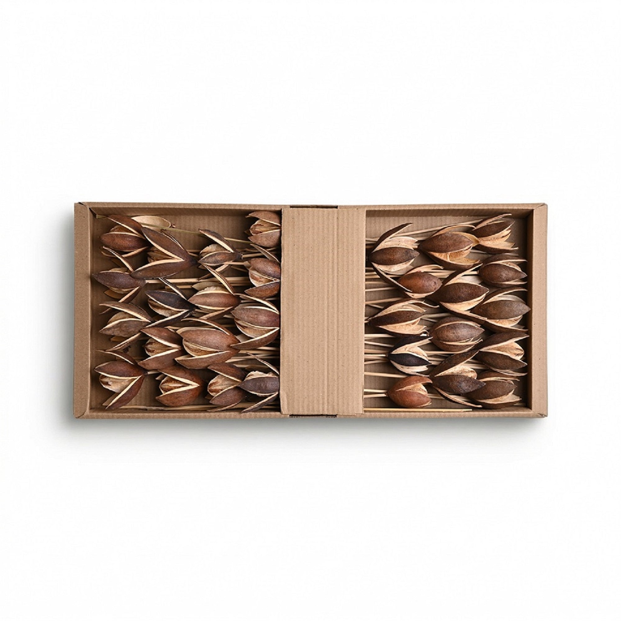 Dried Lily Stems – Set of 30 (Natural) | Preserved Floral Tray for Vase Styling & Neutral Home Decor
