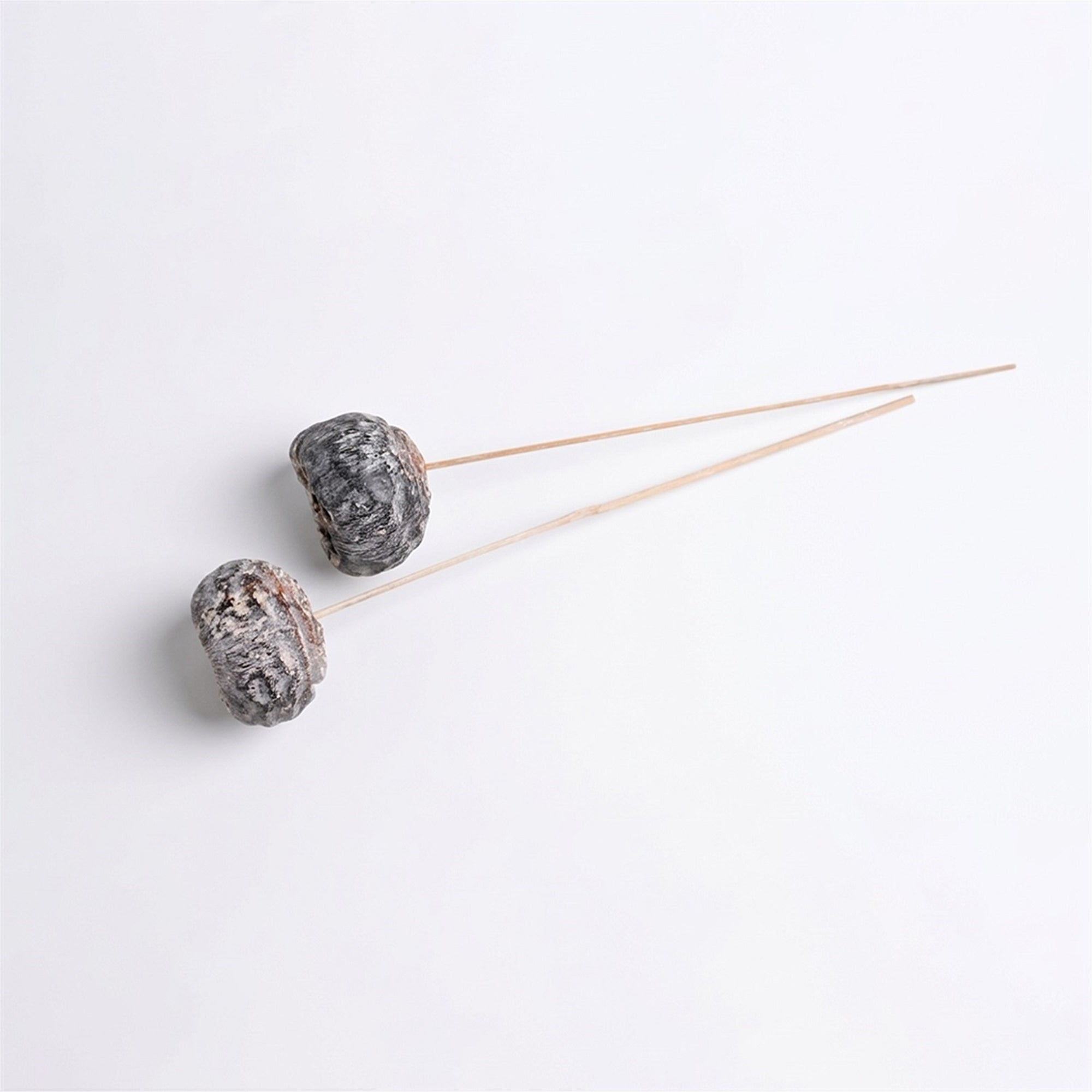 Dried Talami Stems – Set of 20 (White) | Preserved Floral Bundle for Vase Styling & Neutral Home Decor