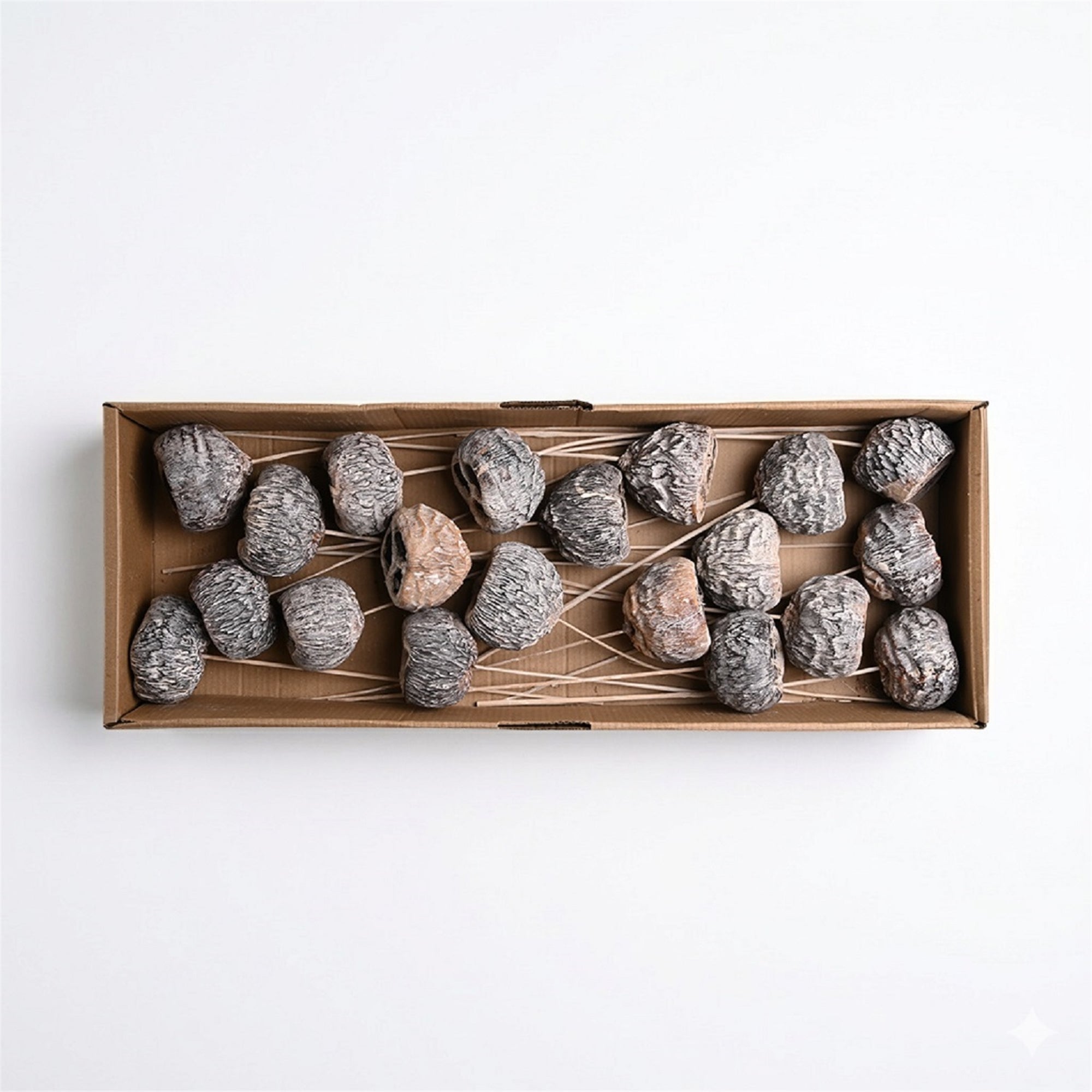 Dried Talami Stems – Set of 20 (White) | Preserved Floral Bundle for Vase Styling & Neutral Home Decor