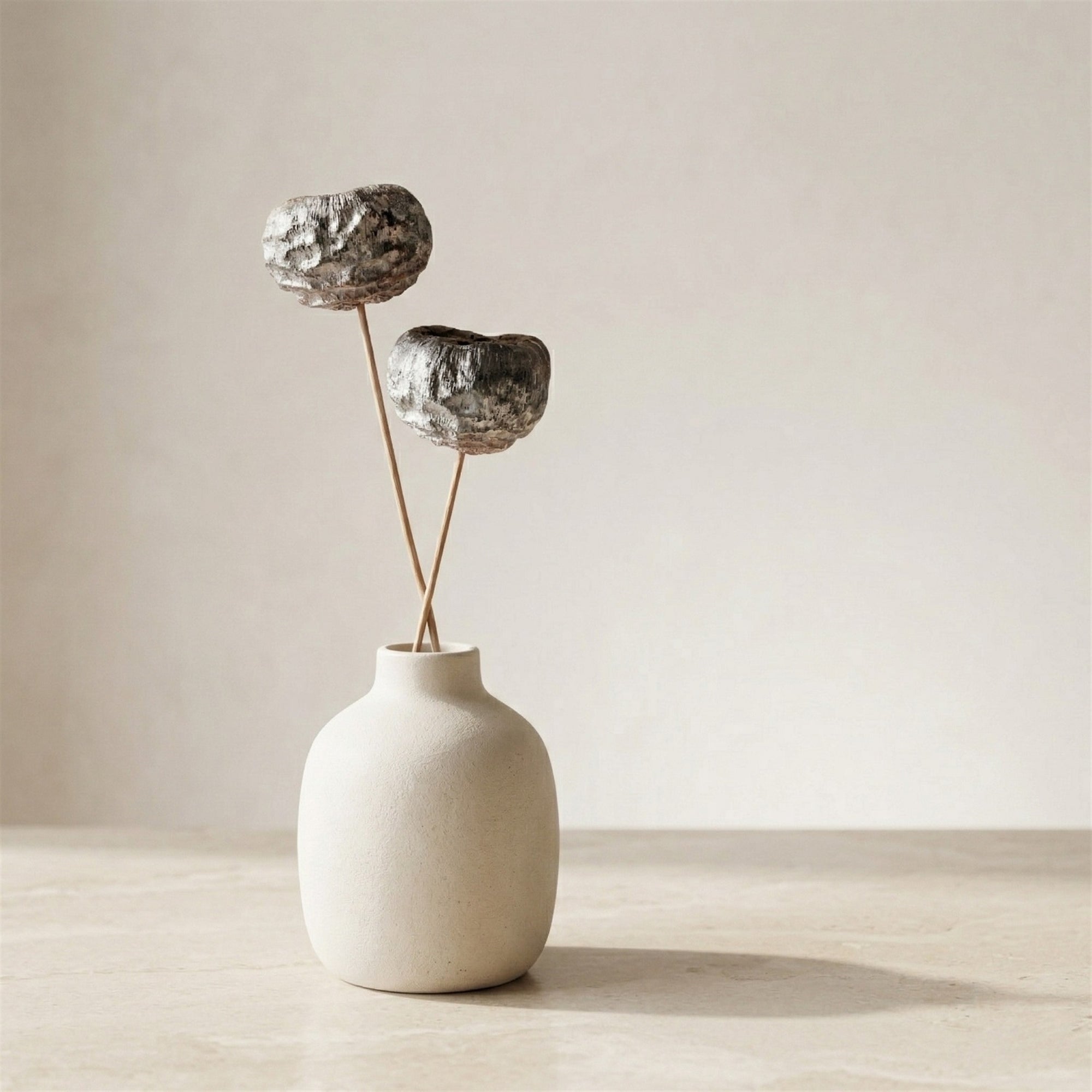 Dried Talami Stems – Set of 20 (White) | Preserved Floral Bundle for Vase Styling & Neutral Home Decor