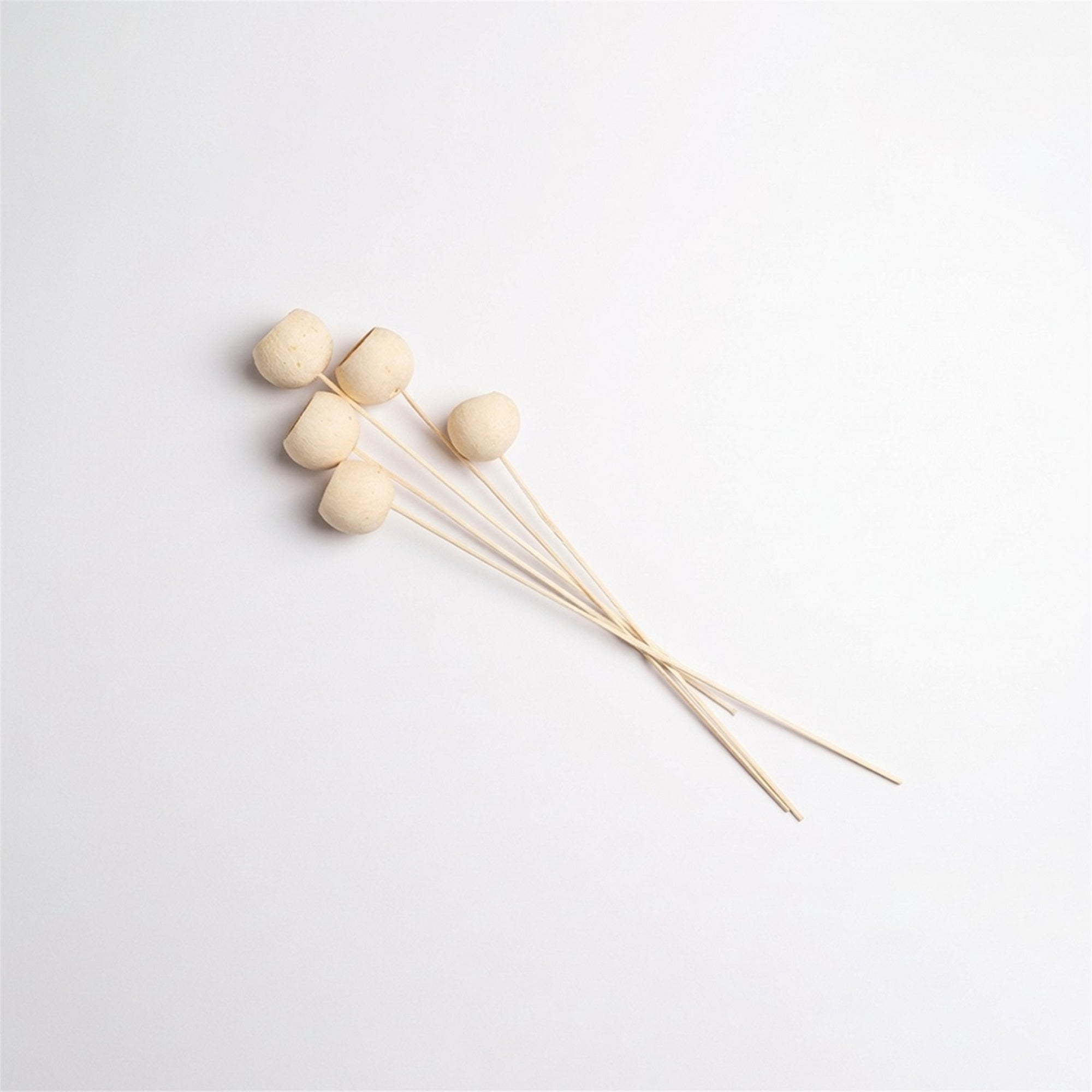 Dried Bel Cup Stems – Set of 30 (Bleached) | Preserved Floral Bundle for Vase Styling & Neutral Decor