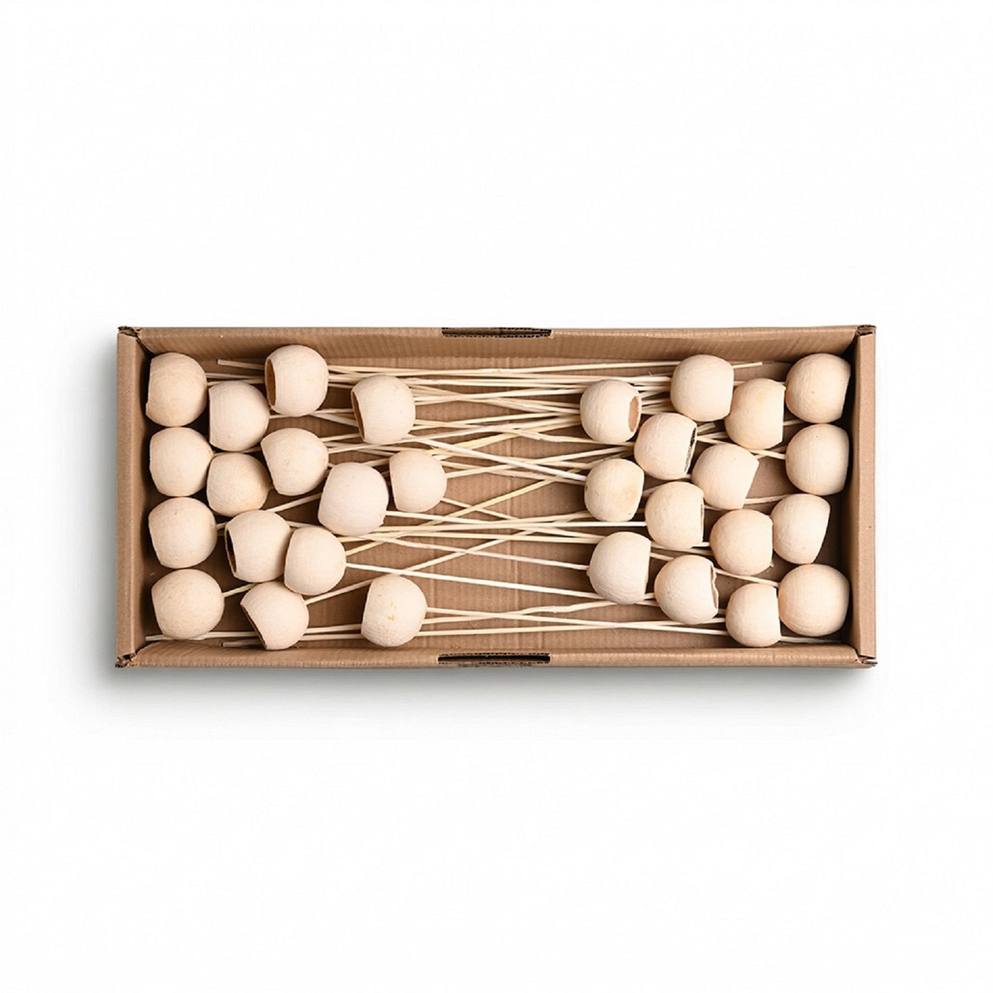 Dried Bel Cup Stems – Set of 30 (Bleached) | Preserved Floral Bundle for Vase Styling & Neutral Decor