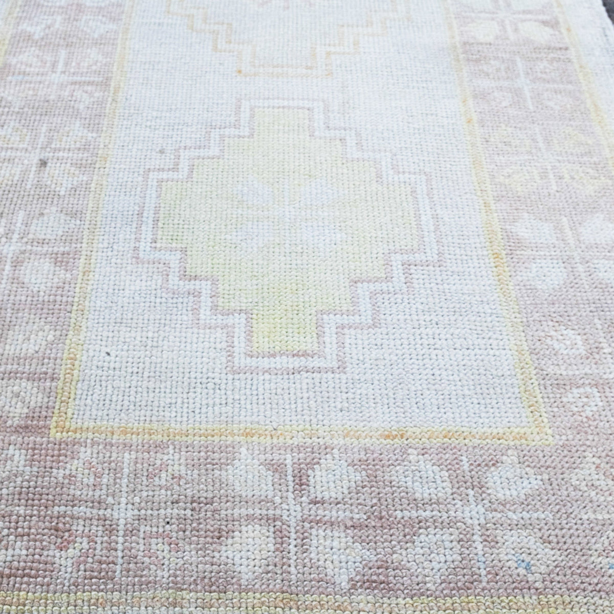 16256 Handwoven Rug 2’7x10