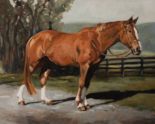 Austin fine art print featuring a chestnut horse standing along a peaceful country lane with trees, fencing, and open fields in the background. Rich painterly brushstrokes, warm earth tones, and soft natural light create timeless equestrian wall art for farmhouse, cottage, traditional, and European-inspired interiors.