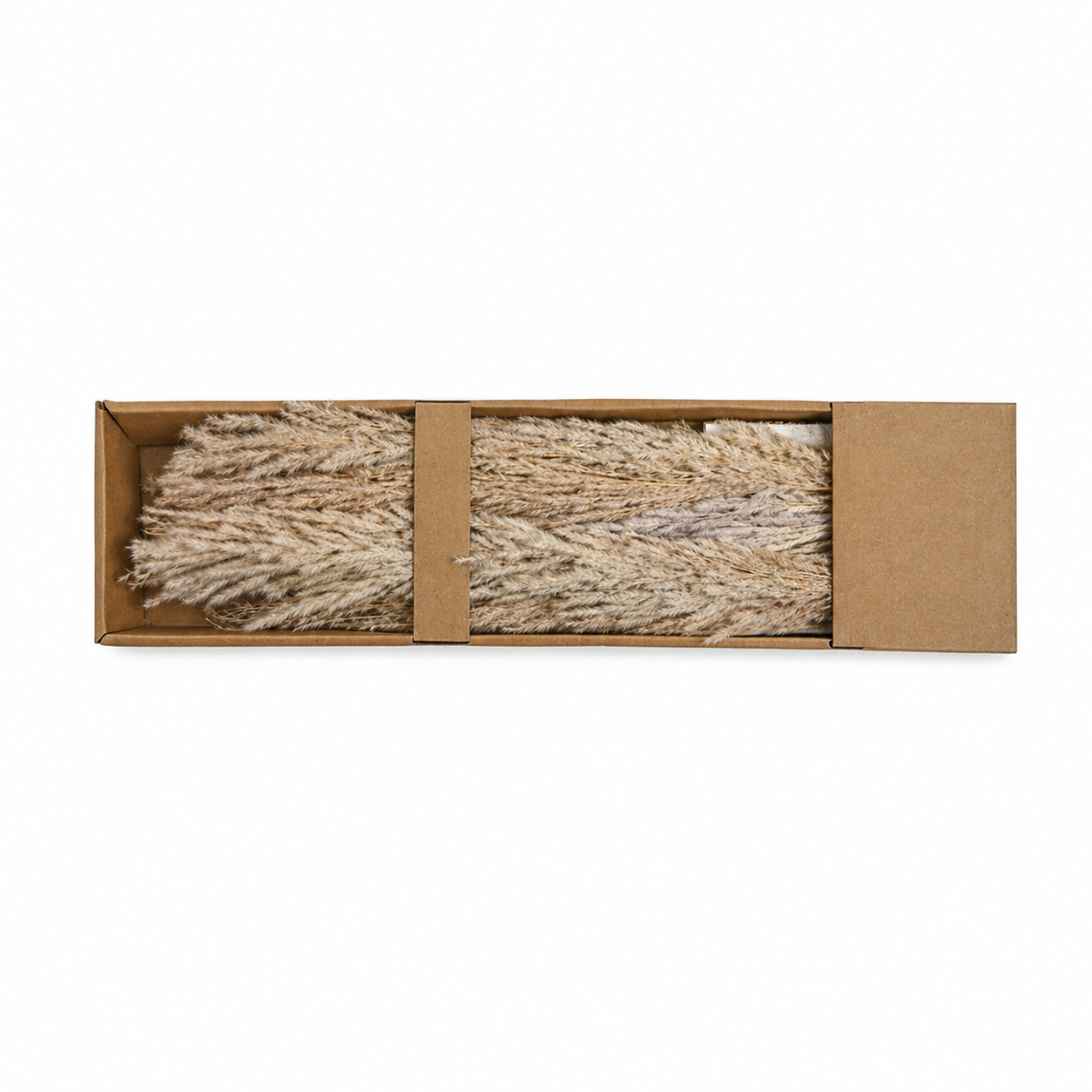 Natural Dried Grass Bundle – Long Everlasting Stems | Preserved Neutral Botanical Bunch for Vase Styling & Home Decor