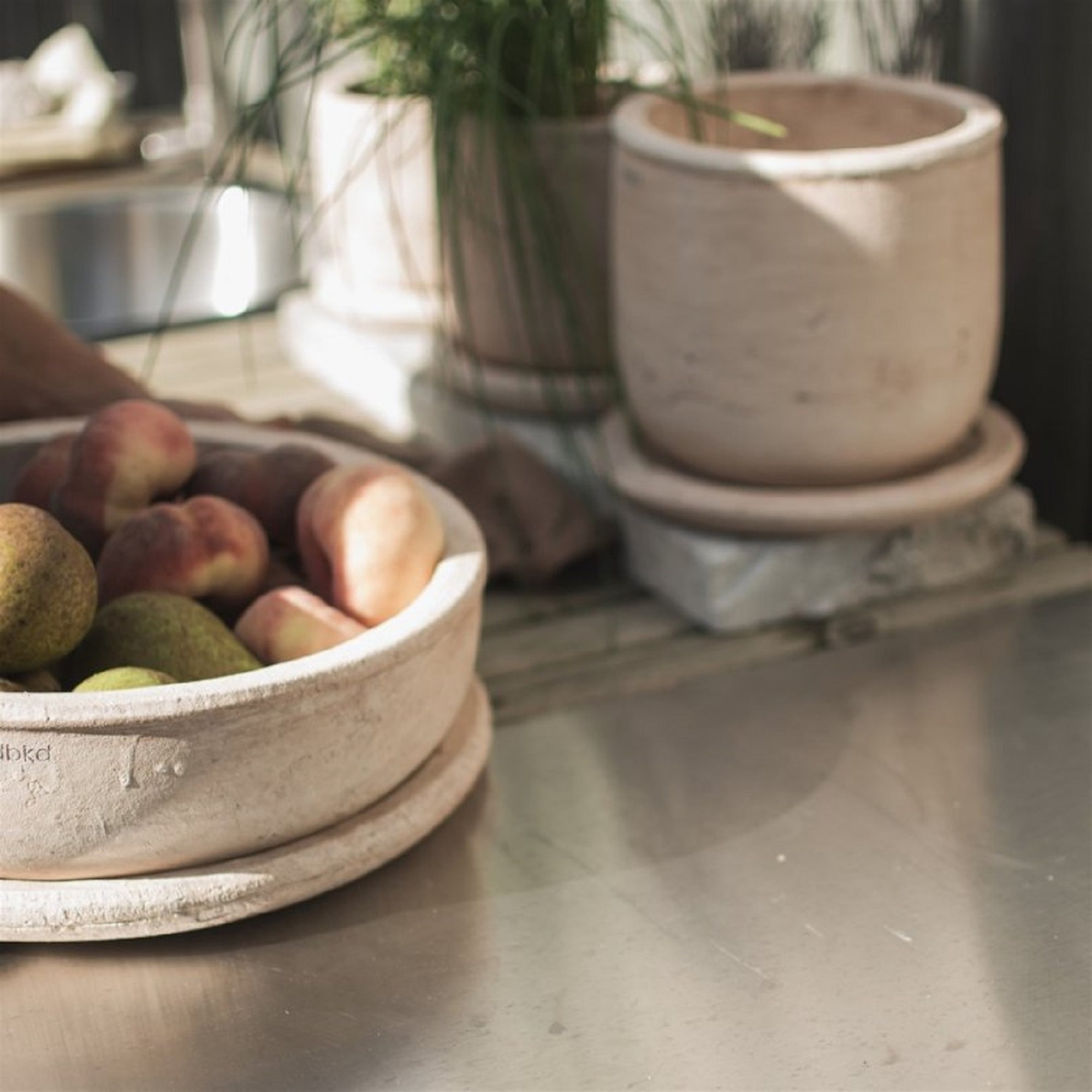 Sand Terracotta Bowl Planter – Low Profile Clay Planter Dish