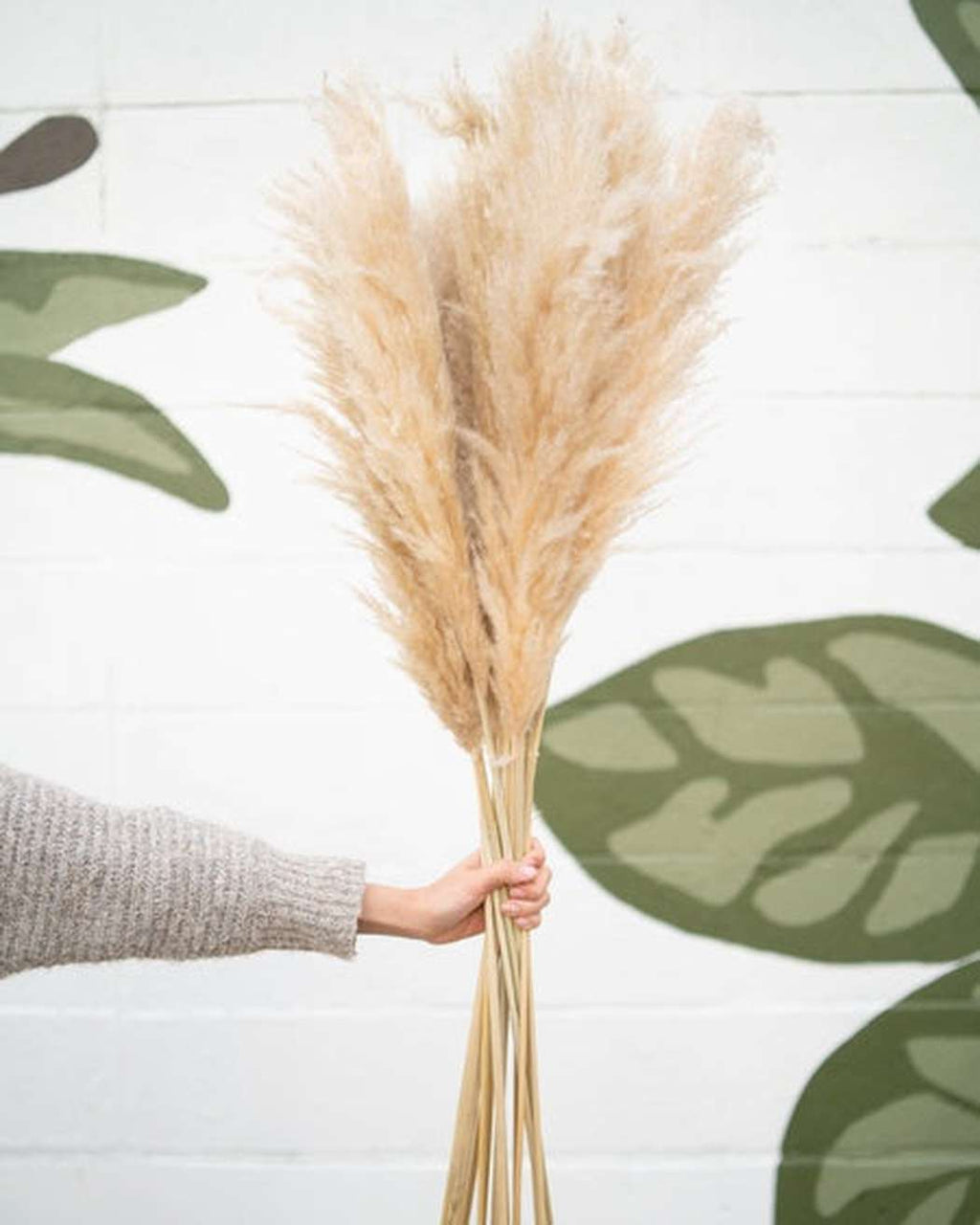 Tuscan Desert Cream Beige Extra Fluffy Pampas Grass