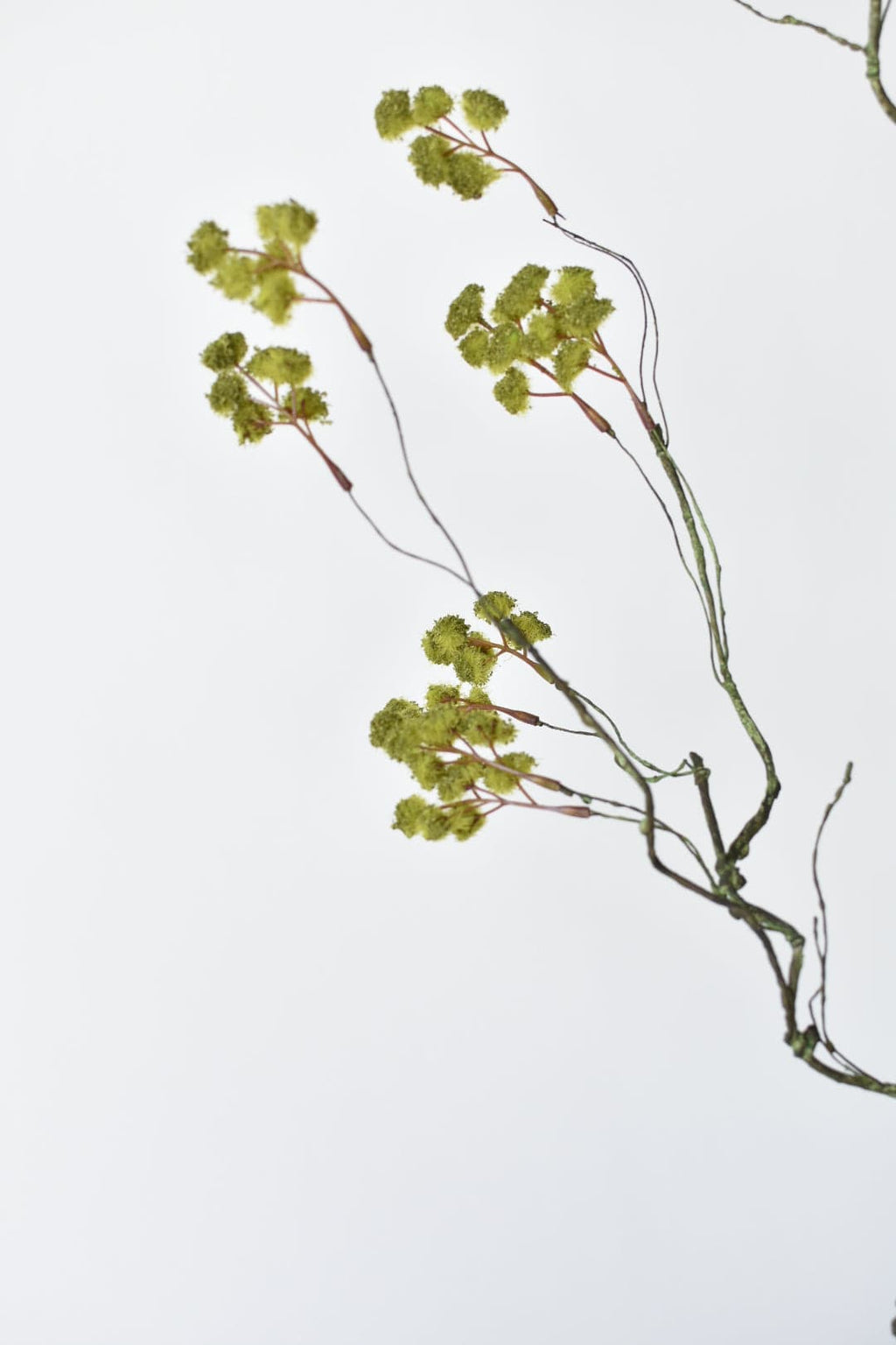30" Faux Mini Fuzzy Blossom Branch, Soft Green