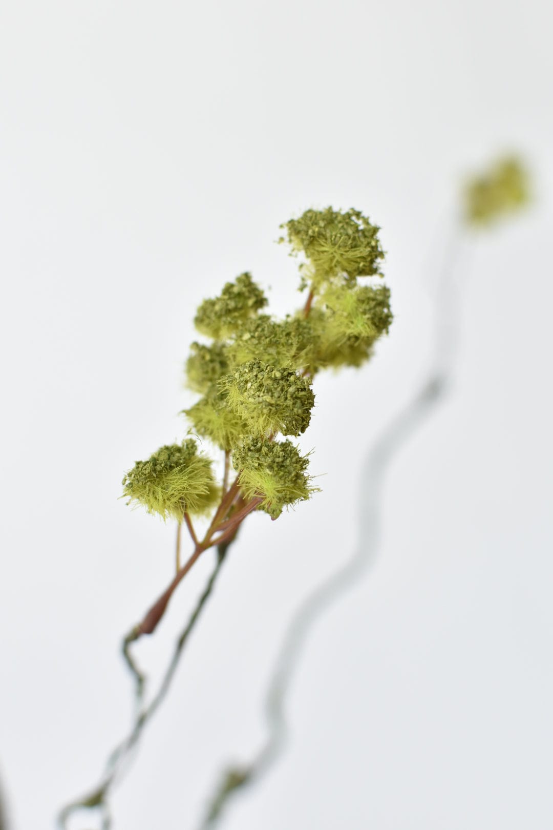 30" Faux Mini Fuzzy Blossom Branch, Soft Green
