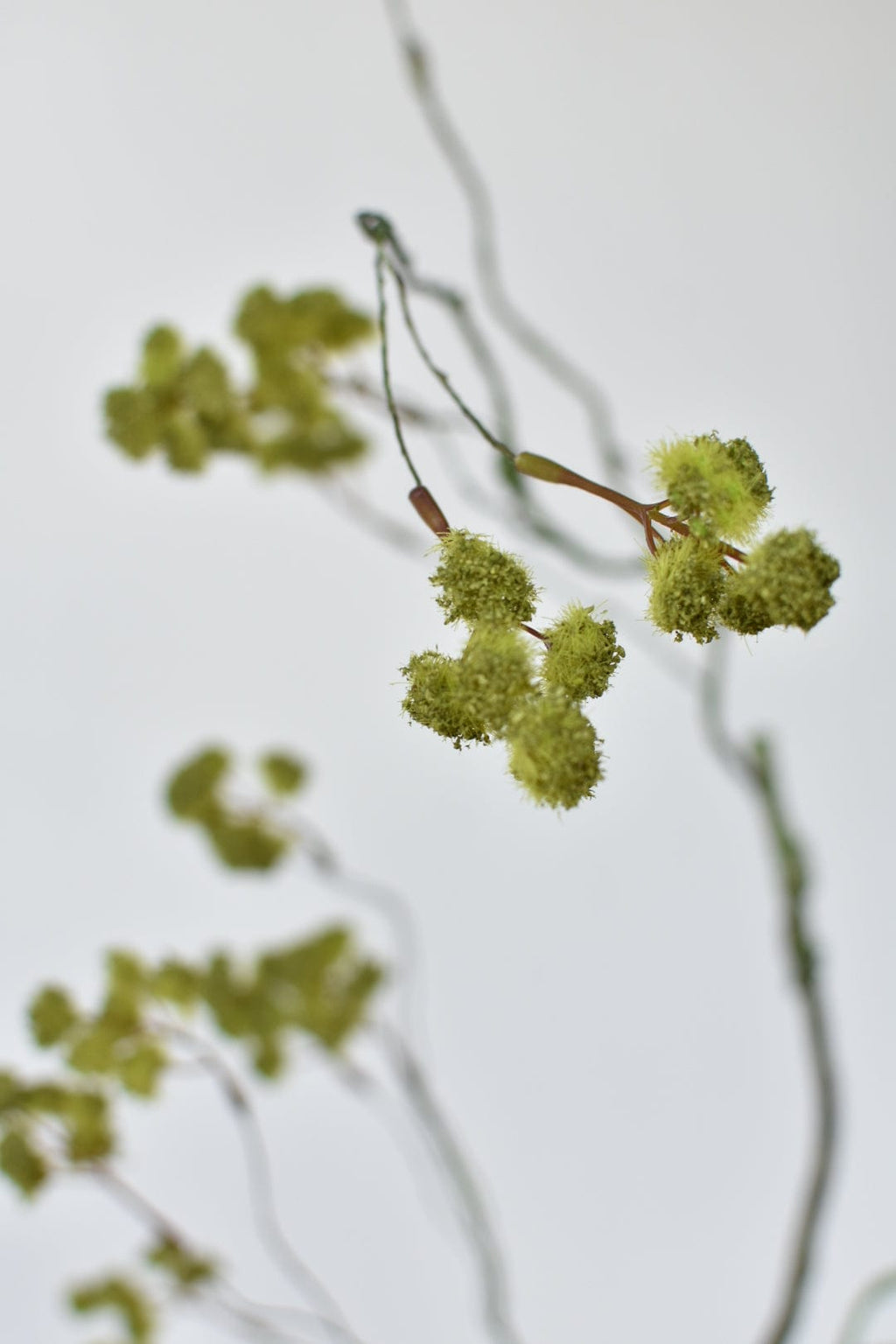 30" Faux Mini Fuzzy Blossom Branch, Soft Green