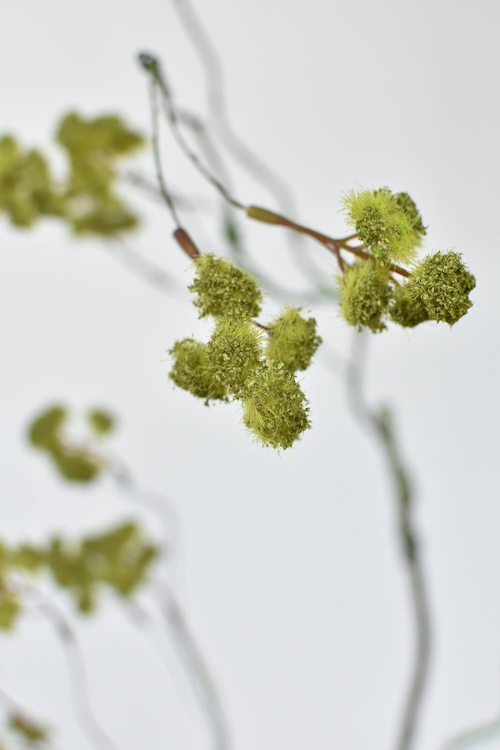 30" Faux Mini Fuzzy Blossom Branch, Soft Green