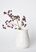 White vase with dried flowers on a white background