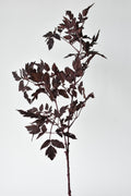 Artificial plant branch with dark leaves on a white background