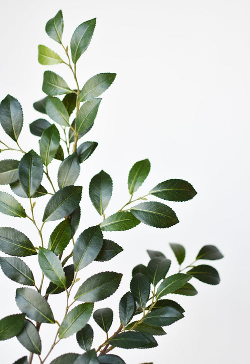 Artificial green leaf branch on a white background
