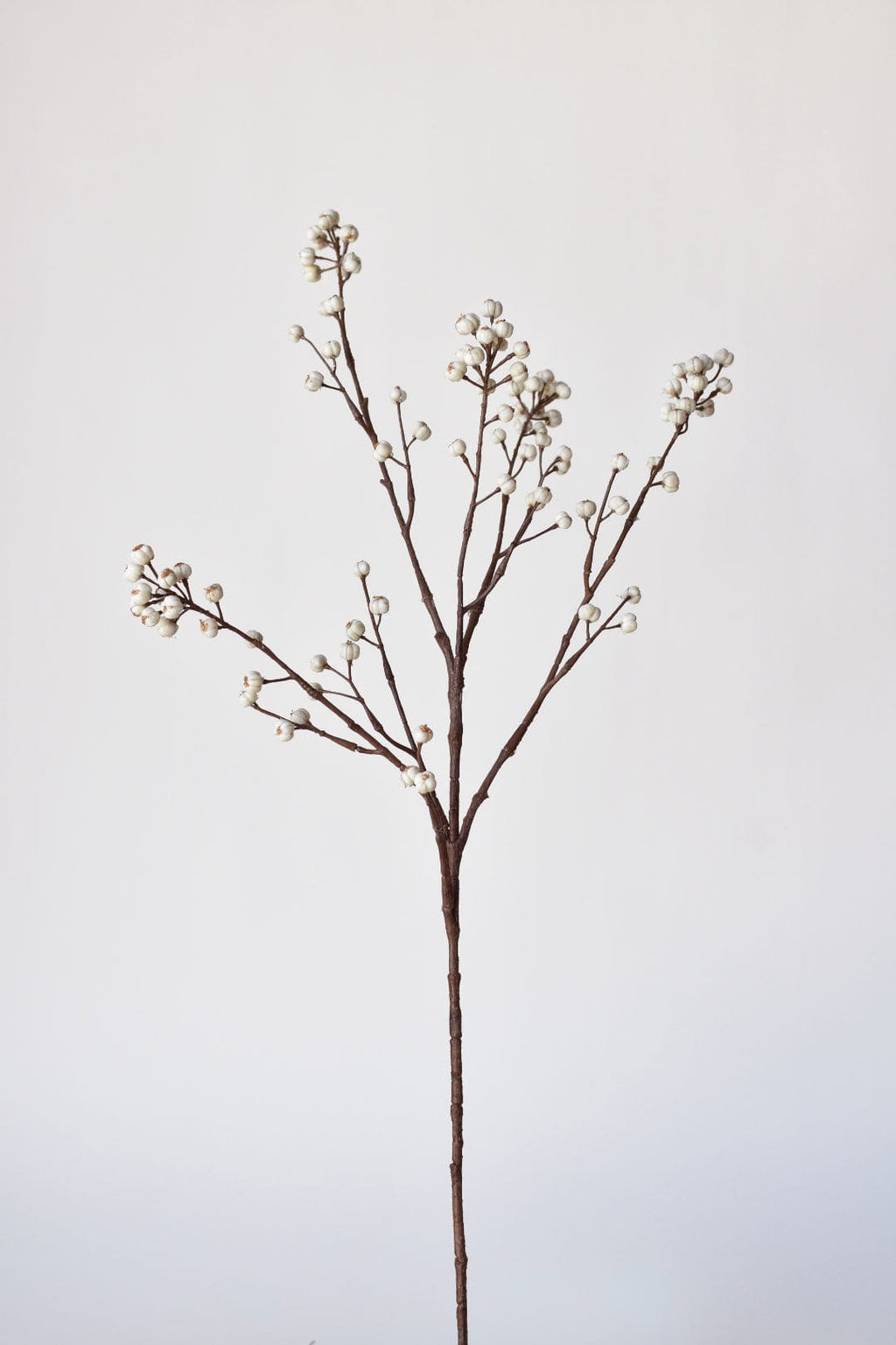 Artificial plant stem with small white flowers on a light gray background