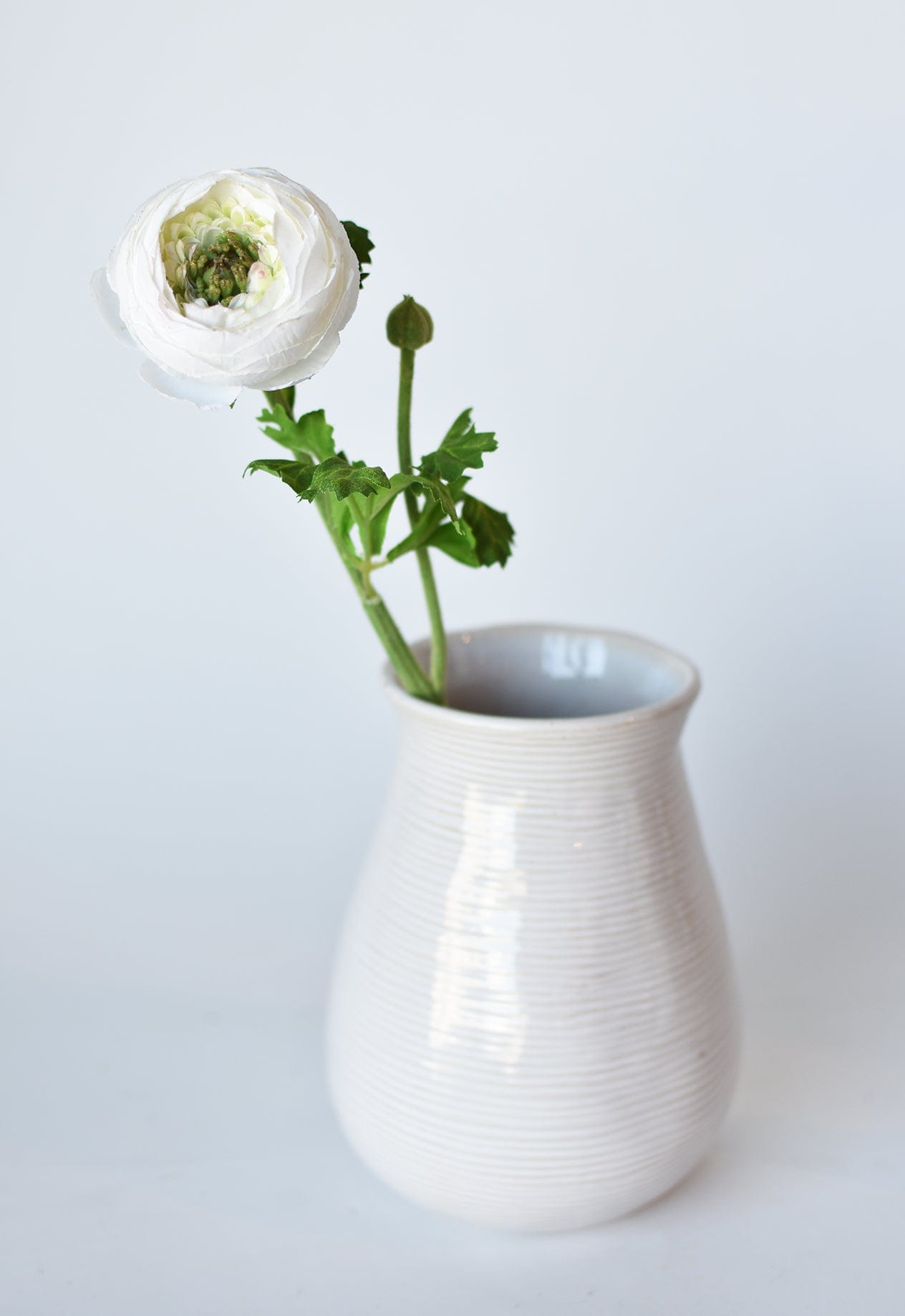 White ceramic vase with a single white flower on a light gray background