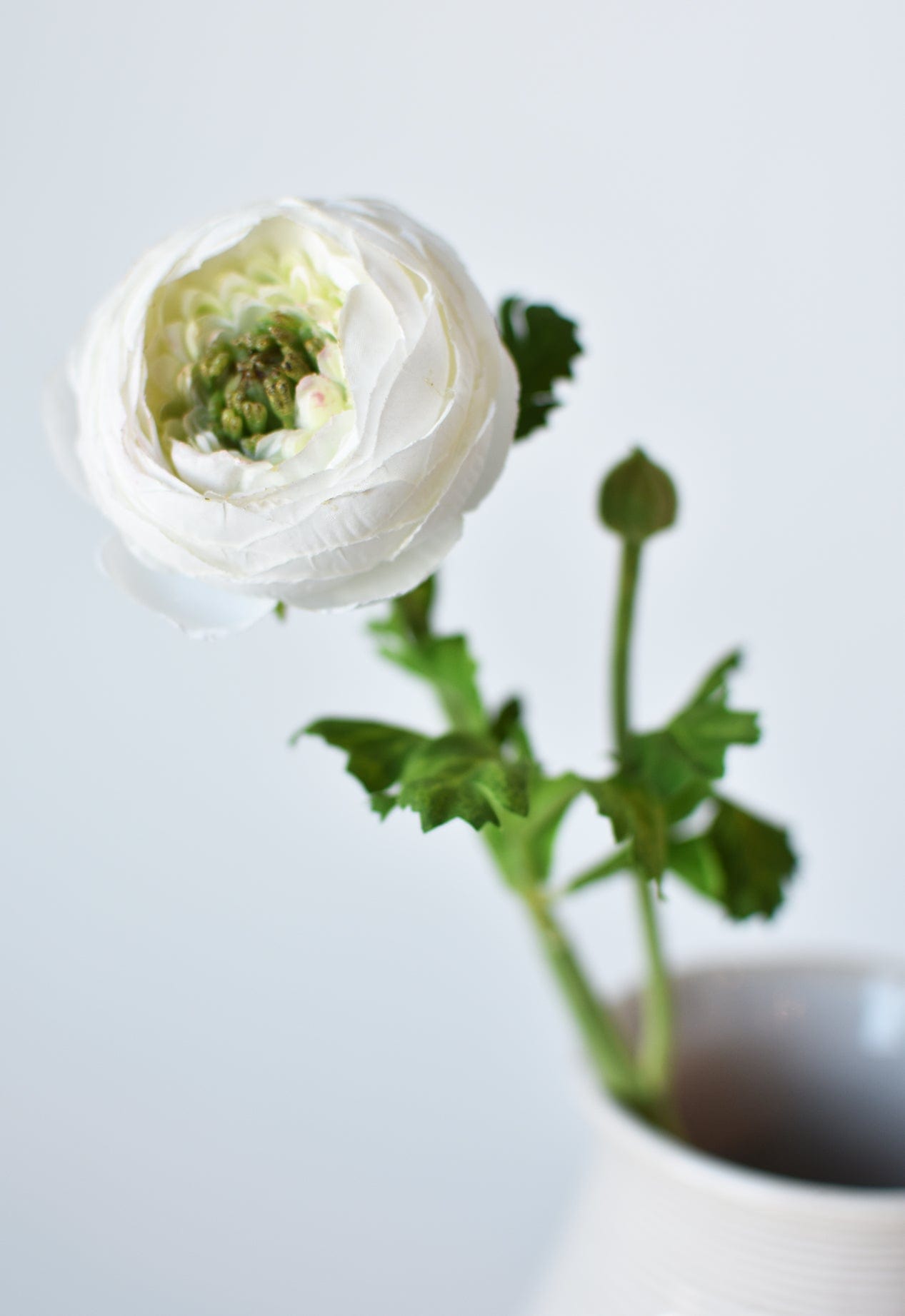 White flower in a vase against a light gray background