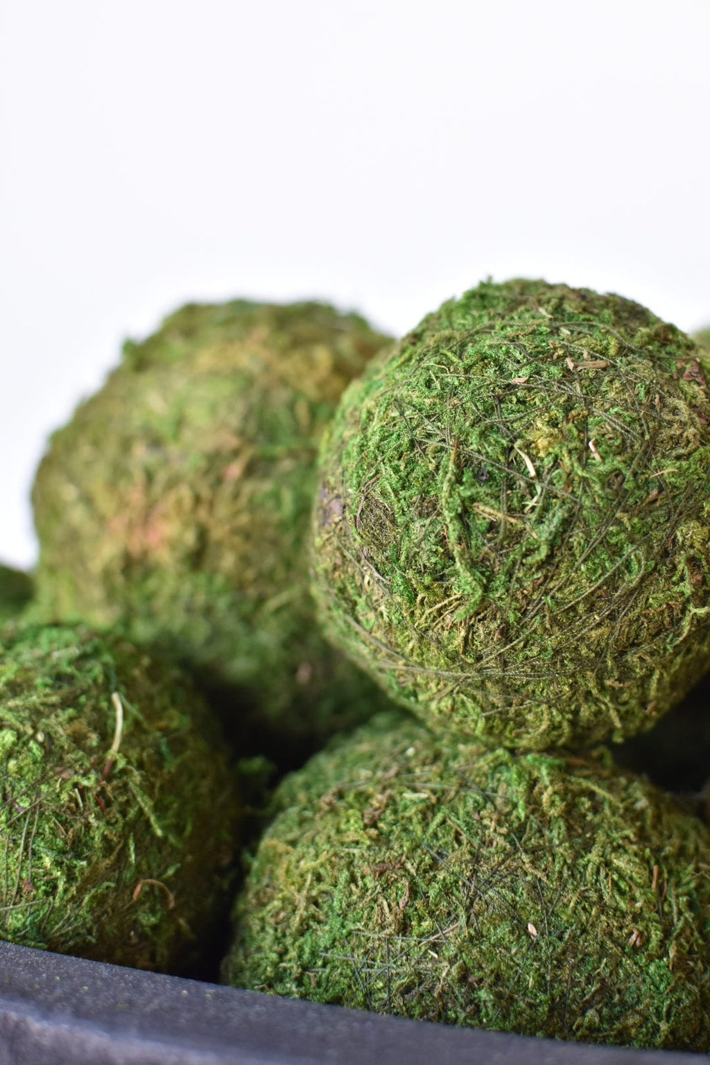 3" Preserved Moss Balls, Set of 6