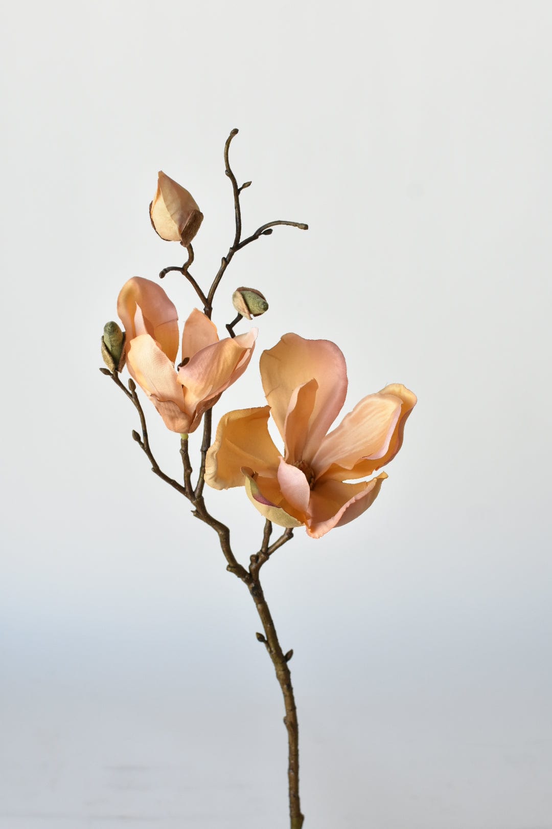 19" Faux Magnolia Blossom Stem, Light Orange & Pink