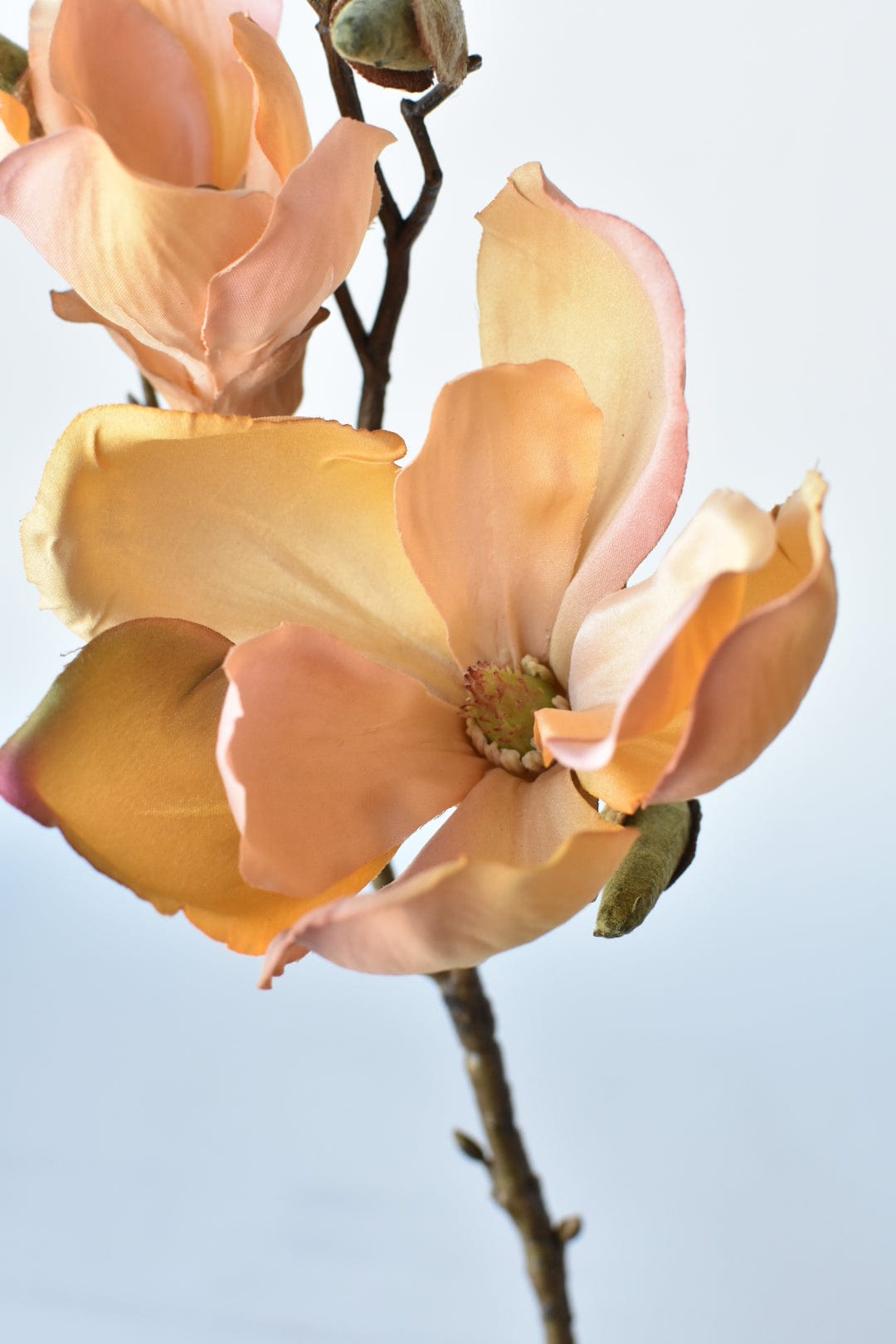 19" Faux Magnolia Blossom Stem, Light Orange & Pink