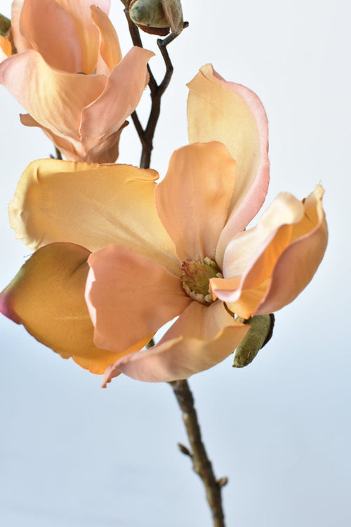 19" Faux Magnolia Blossom Stem, Light Orange & Pink