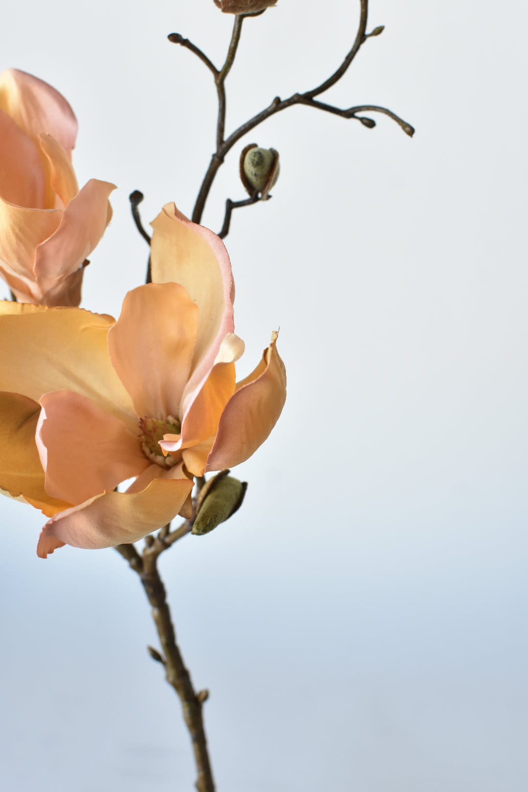 19" Faux Magnolia Blossom Stem, Light Orange & Pink