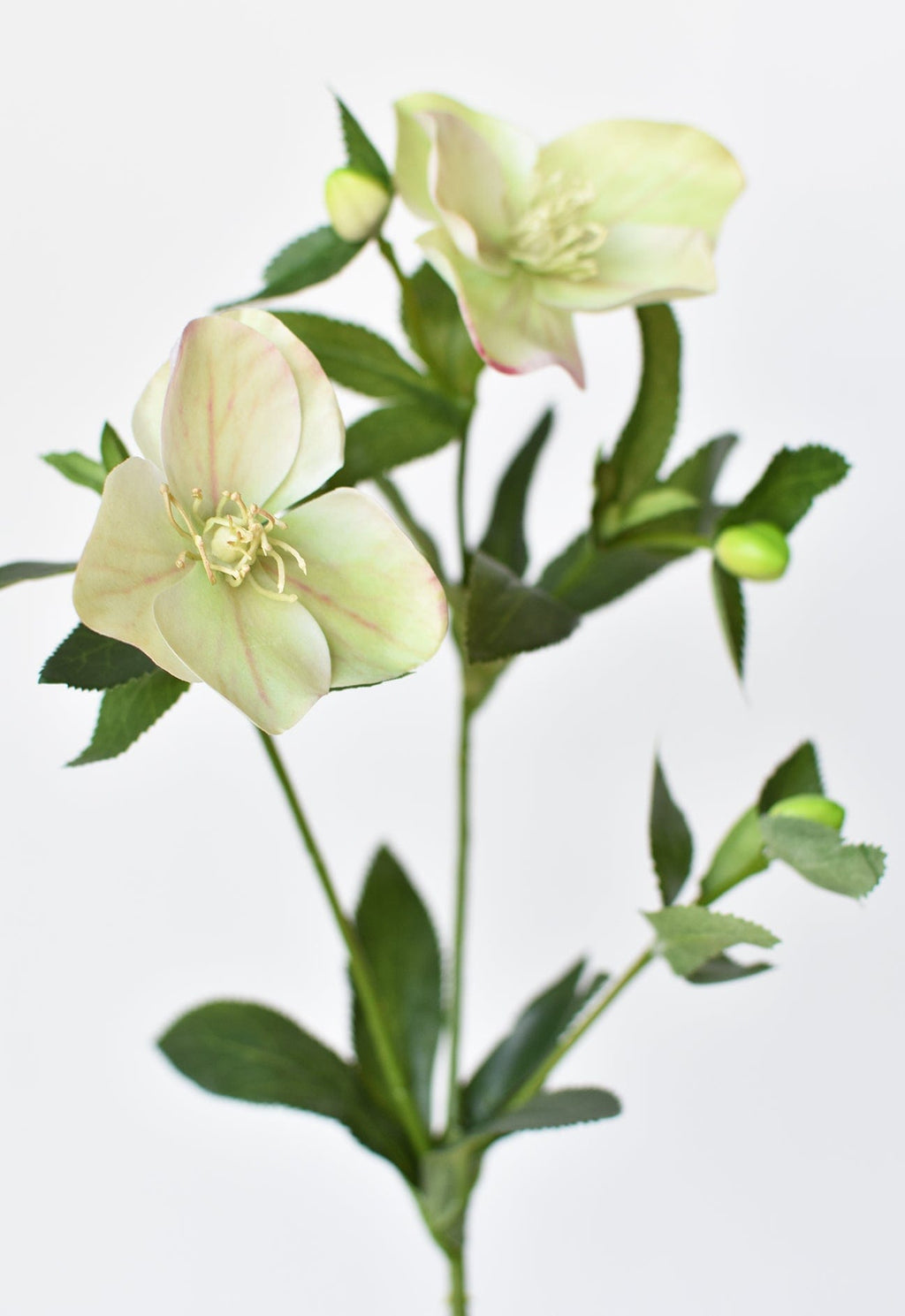 Artificial green flower arrangement on a white background