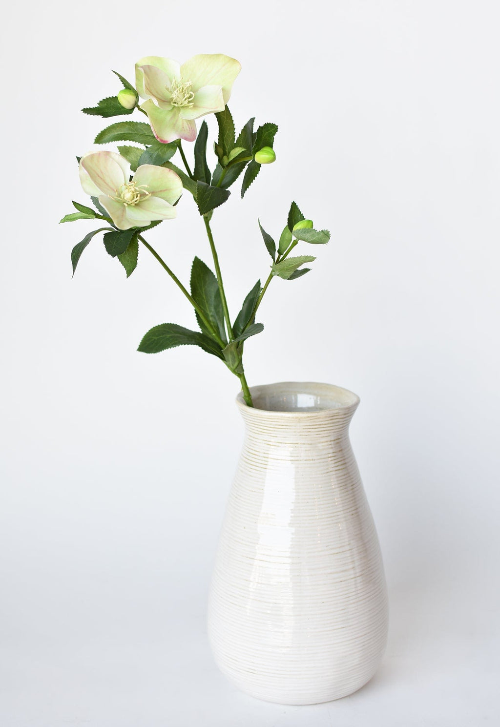 White ceramic vase with green flowers on a white background
