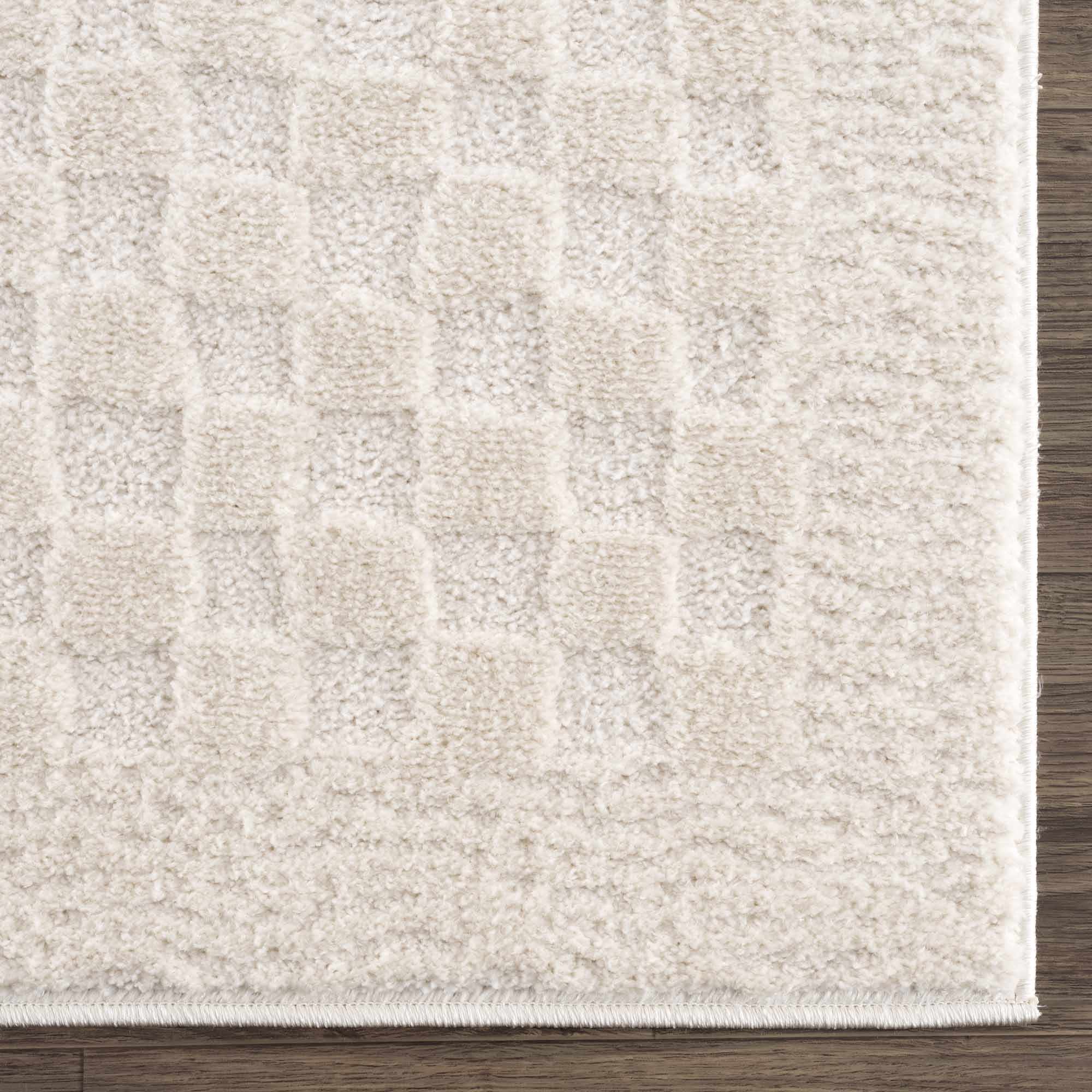 Textured beige area rug on a wooden floor