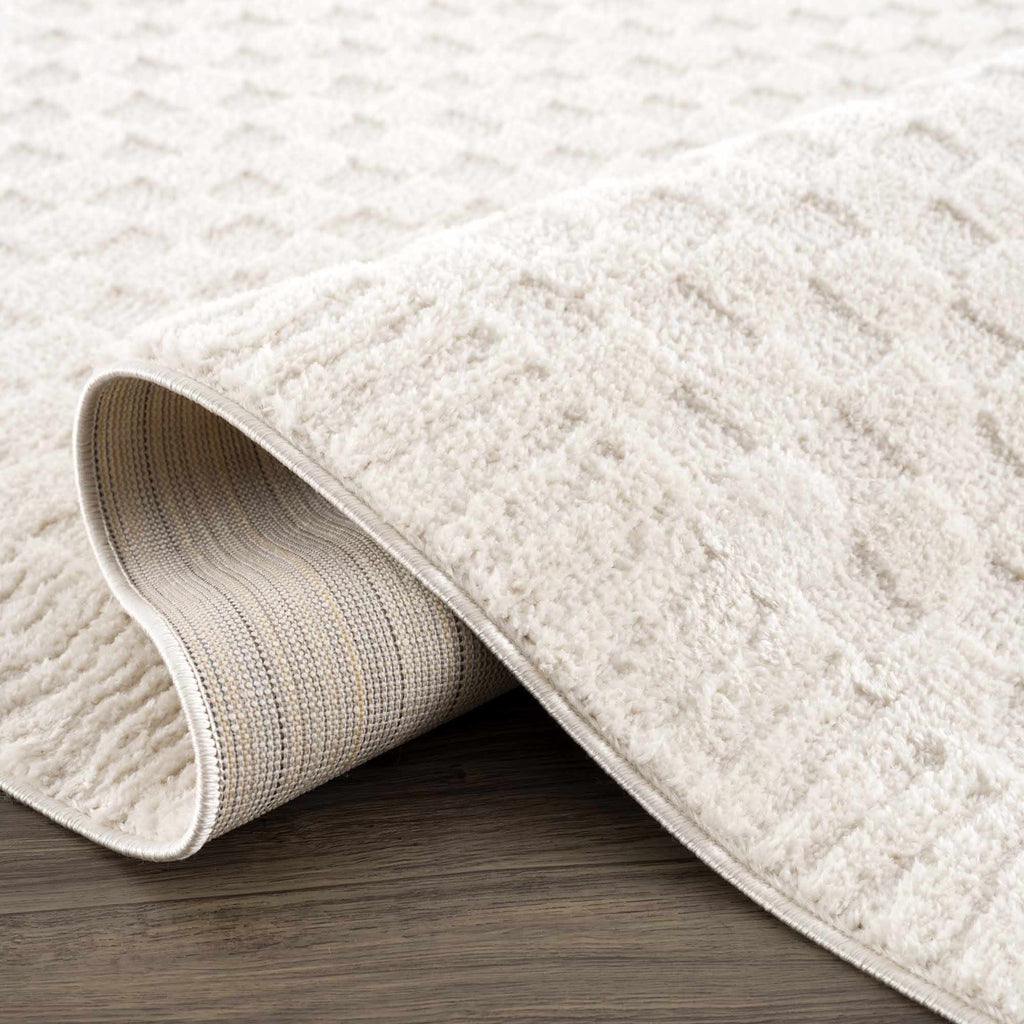Textured beige rug on a wooden floor