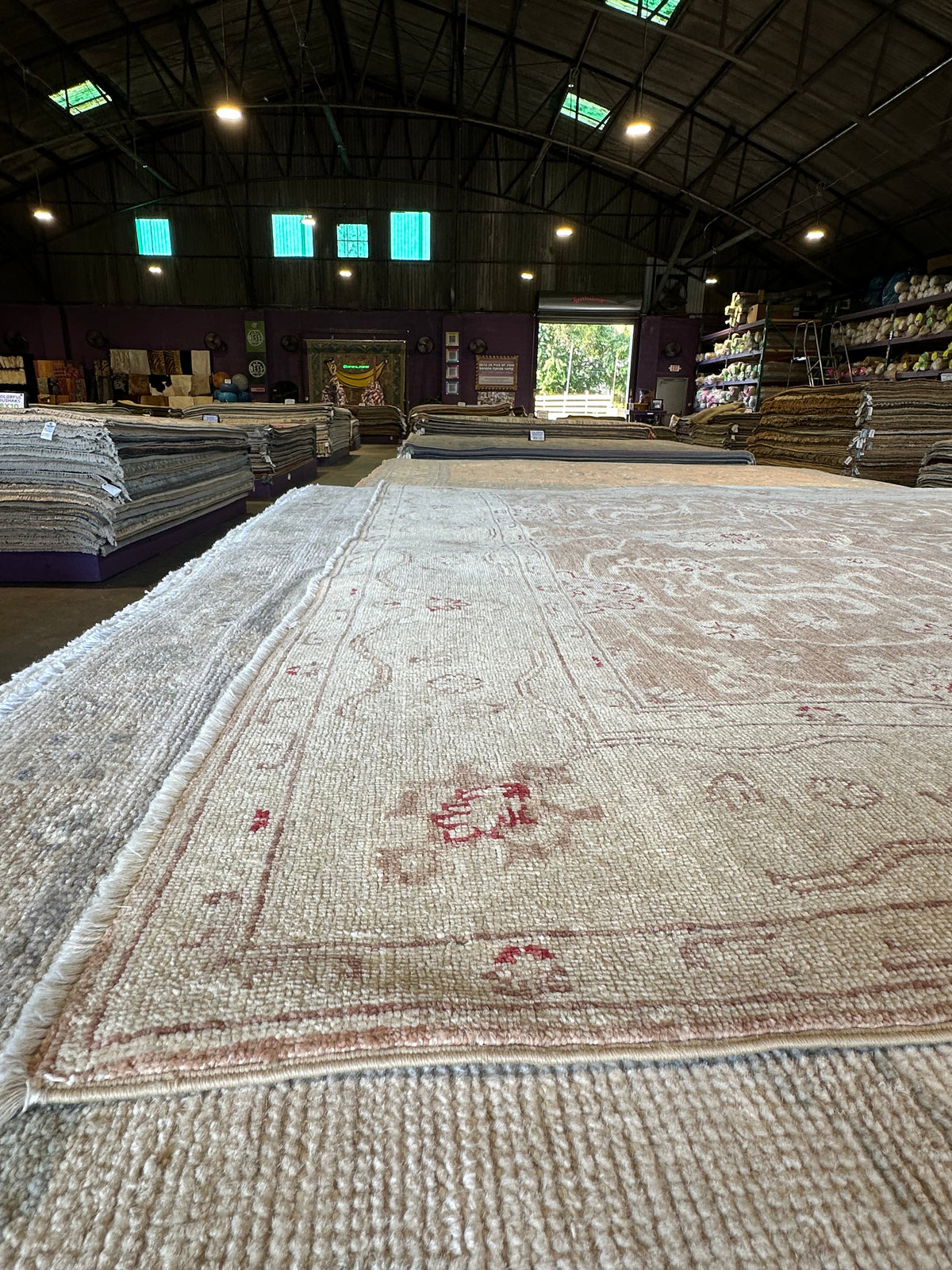 William Brown Hand-Knotted Farhan Rug - 6 x 8.9
