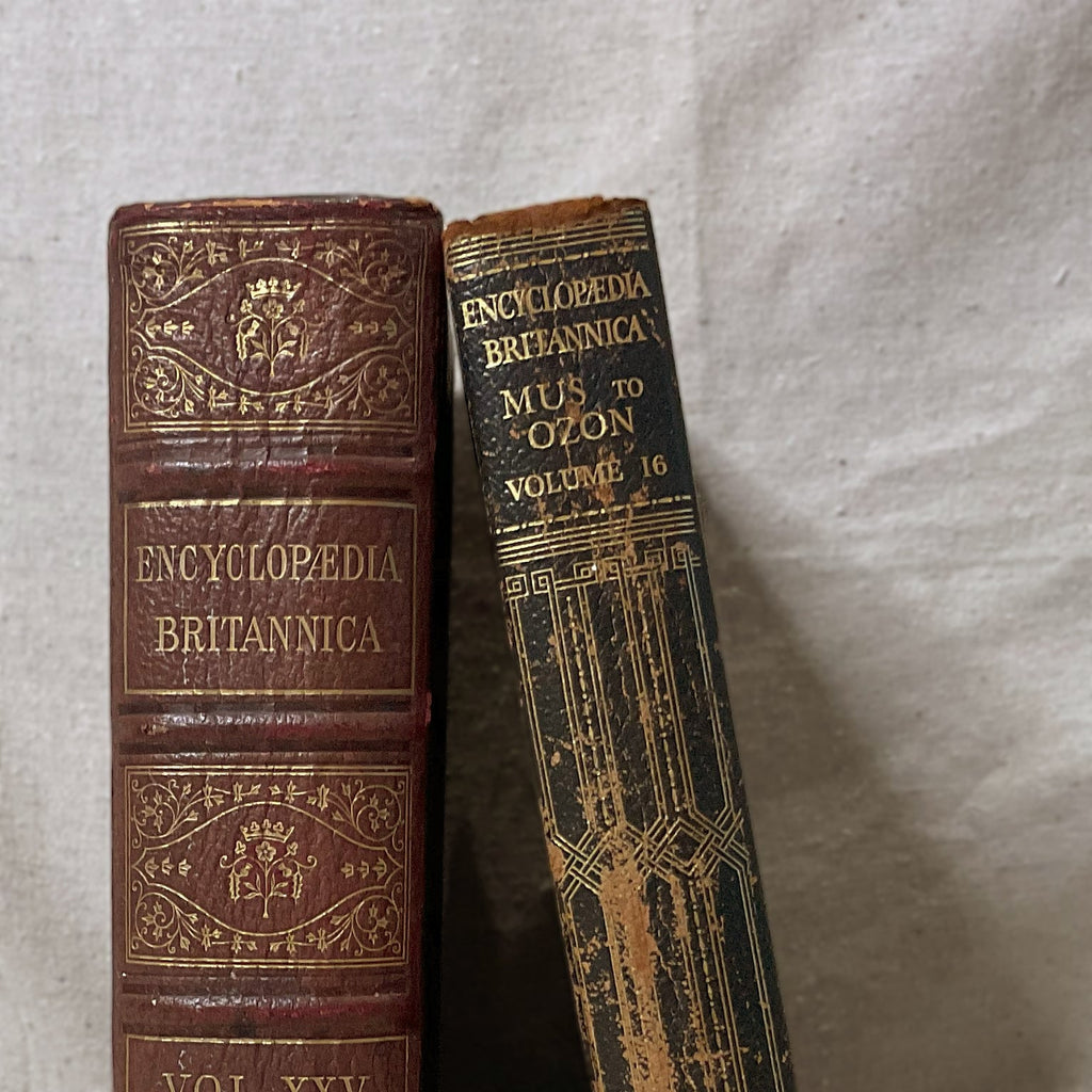 Vintage Books Large