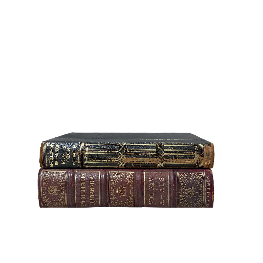Vintage Books Large