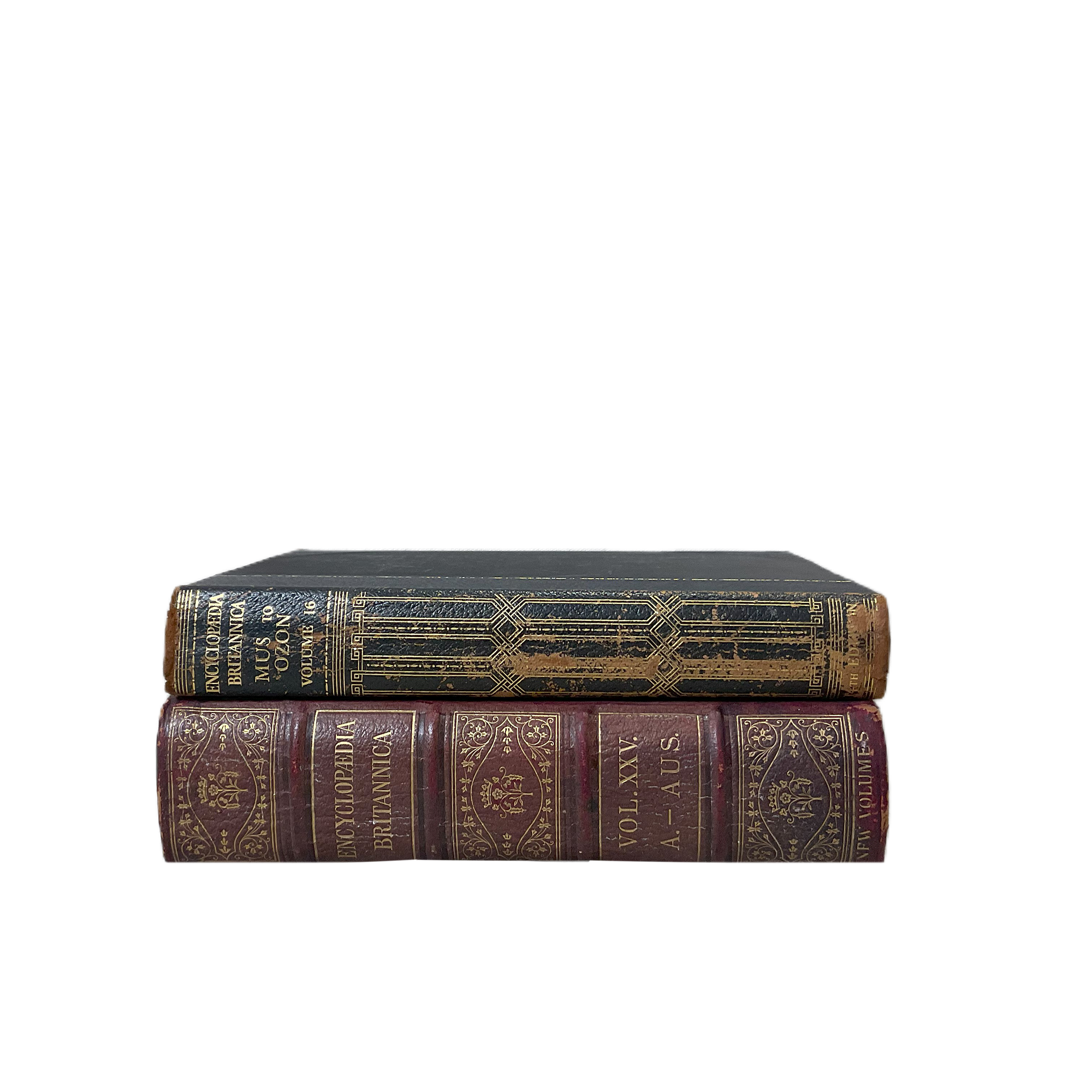 Vintage Books Large