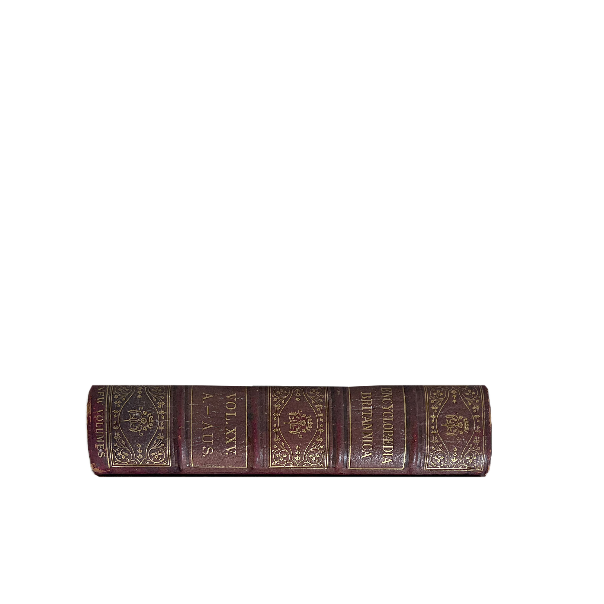 Vintage leather-bound book with gold embossed text on a white background