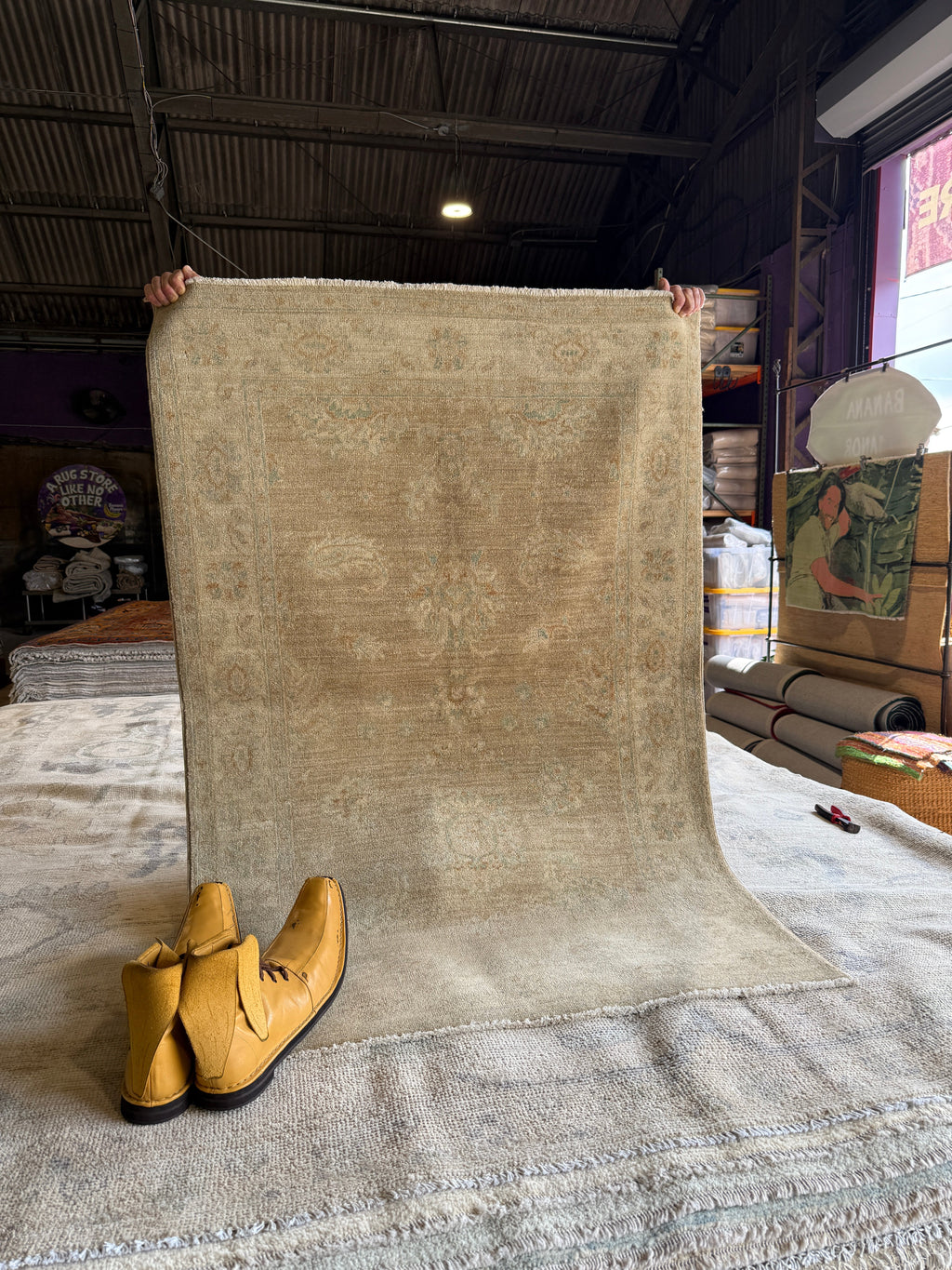 Phylicia Feldman 3.3x4.10 Cream Hand-Knotted Farhan Rug