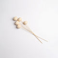 Neutral dried bell cup stems with soft natural tones and organic texture for timeless botanical home styling | Sorelle Rossi Shoppe