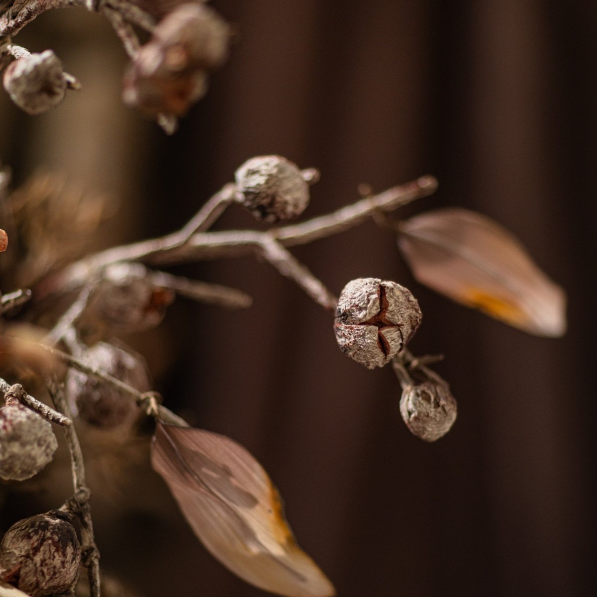Brown Faux Pod Branch with Leaves 43" Tall | Faux Botanical Stem