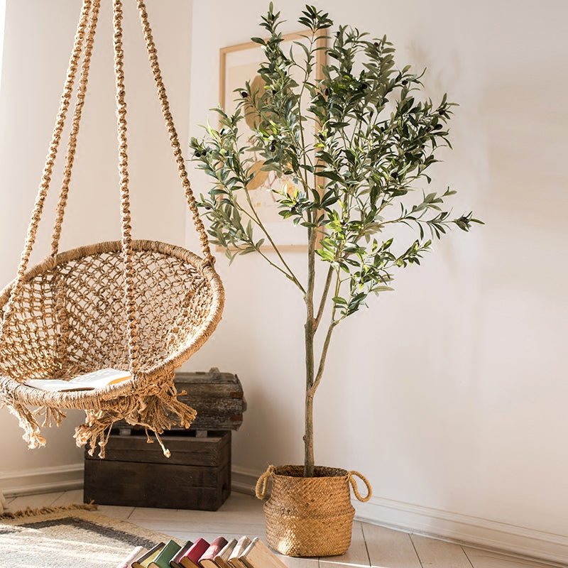 Woven chair, plant, and wooden crate against a white wall