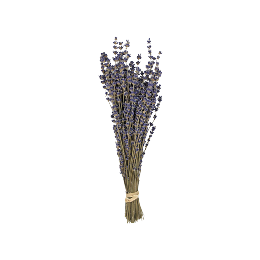 Lavender Preserved Bouquet