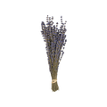 Lavender Preserved Bouquet