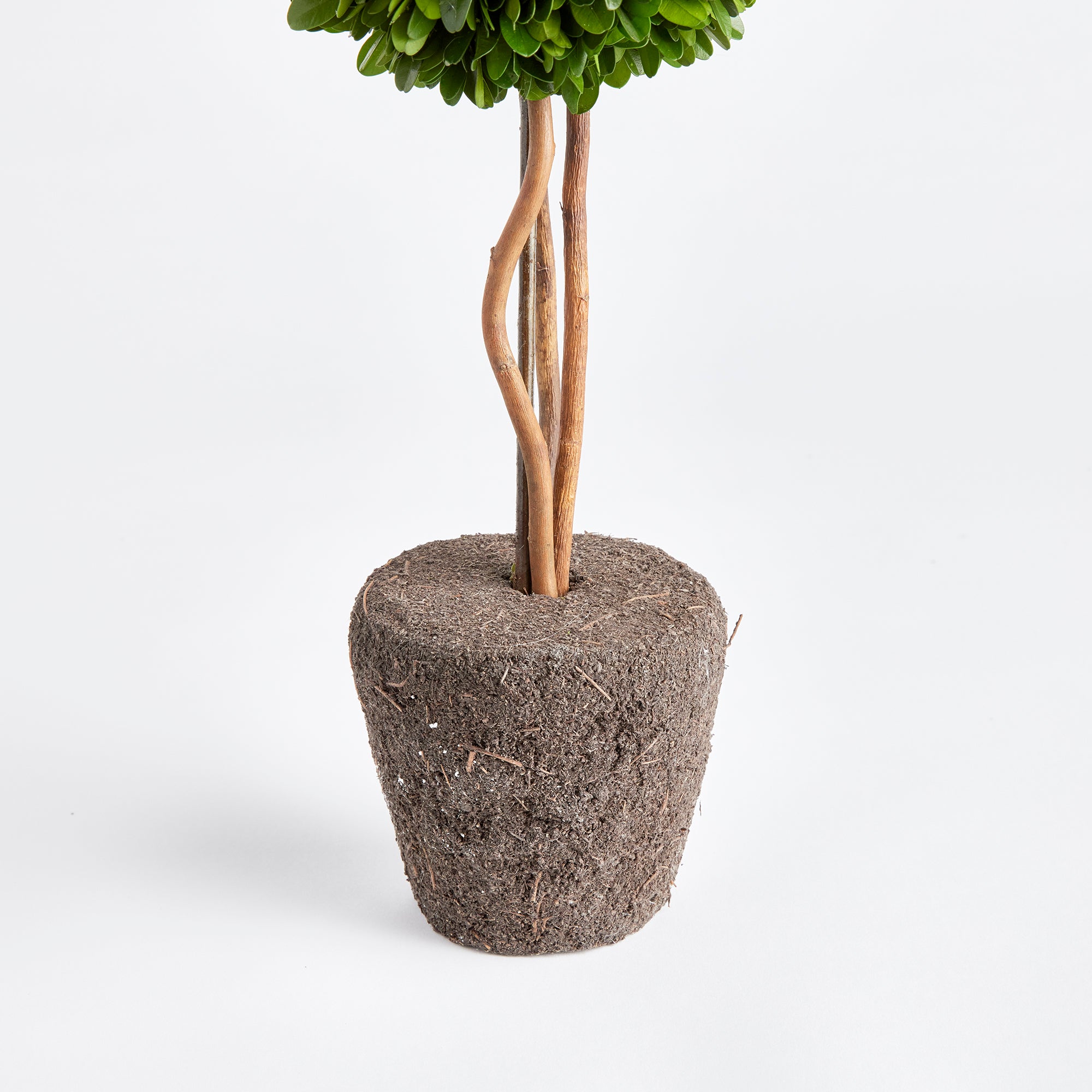 Preserved Boxwood Topiary – 16” Single Sphere Drop-In | Faux Greenery for Planters, Urns & Indoor Decor