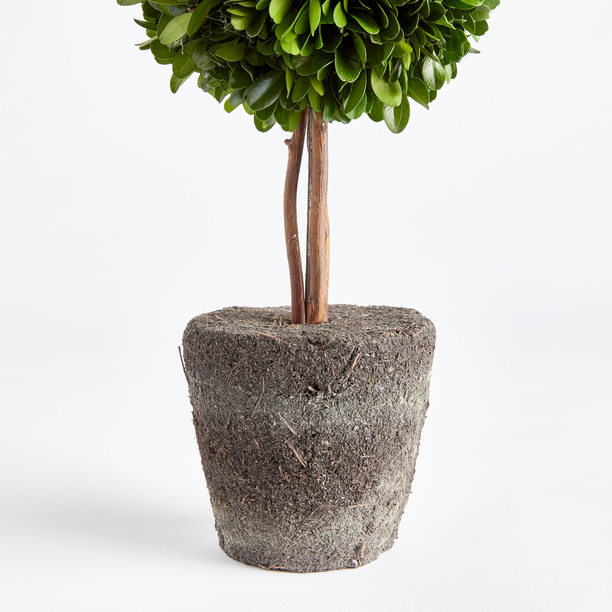 Preserved Boxwood Double Sphere Topiary – 20” Drop-In | Faux Greenery for Planters, Urns & Entryway Decor
