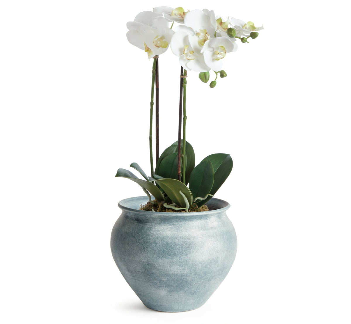 Mirela Large Hand-Thrown Terracotta Drum Vase - Gray-Blue Matte Glaze