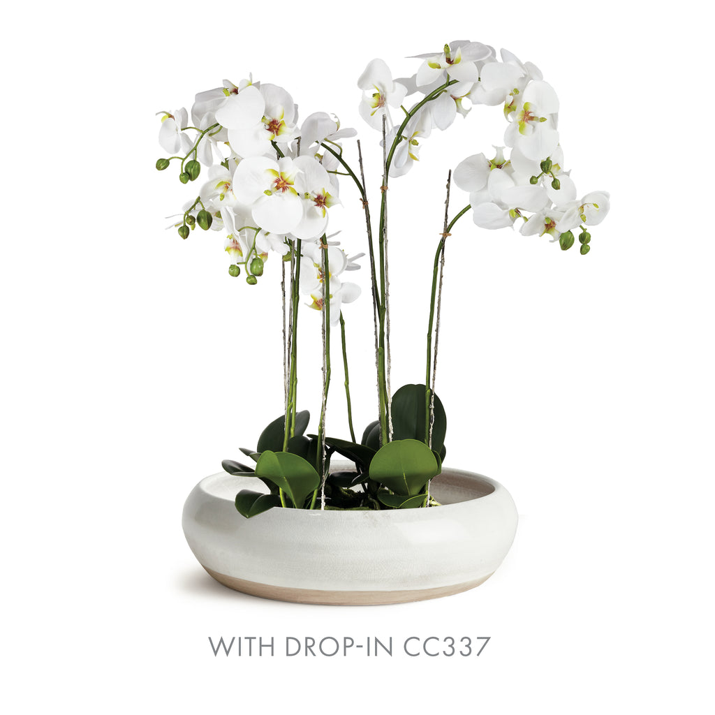 White orchids in a white pot on a white background