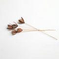 Natural dried lotus pod stems with warm earthy brown tones and organic texture for timeless botanical styling | Sorelle Rossi Shoppe